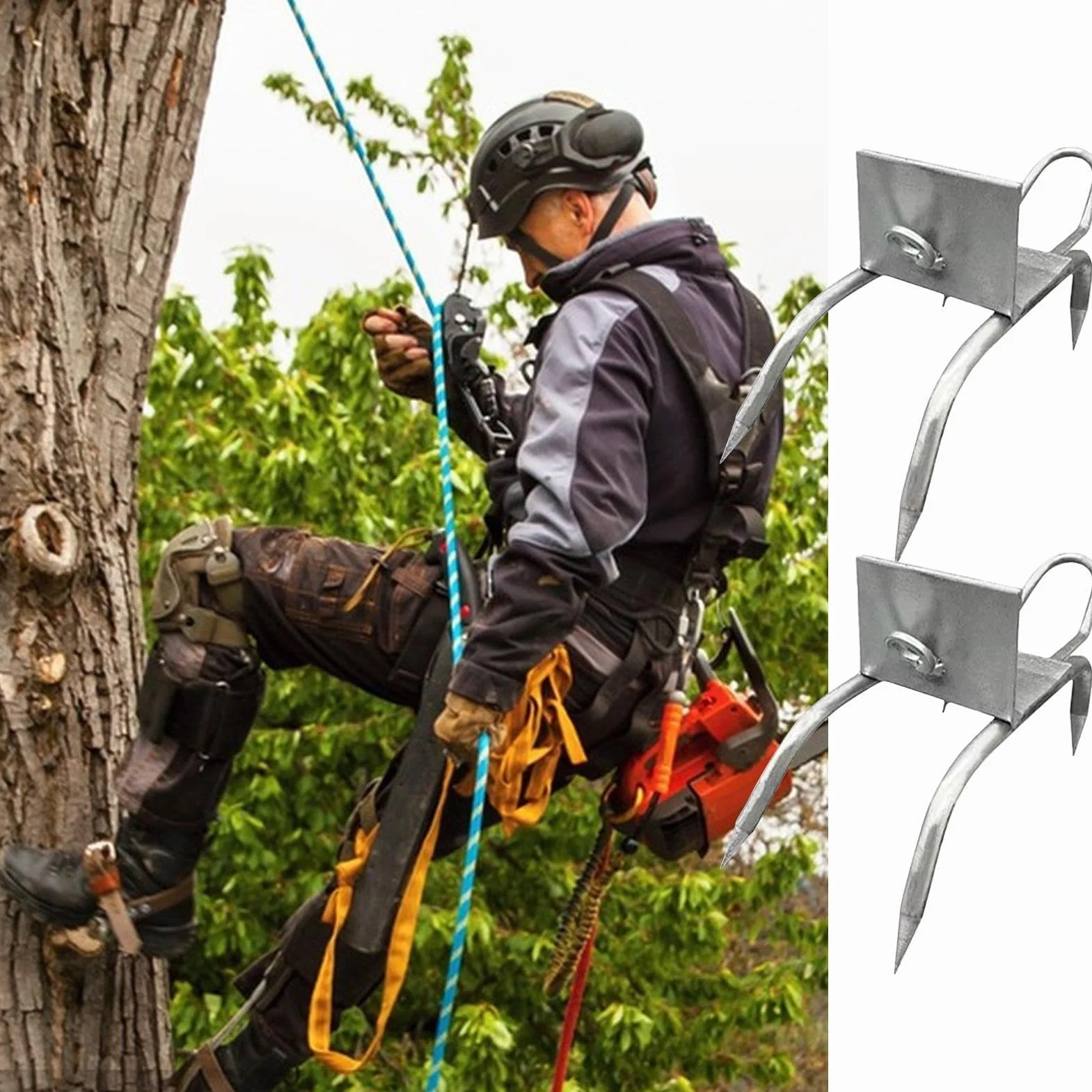 Punte per arrampicata su alberi, scarpe da artiglio di gatto, punte per arrampicata su alberi, attrezzatura da esterno sicura con regolabile per adulti adolescenti uomini arboricoltori