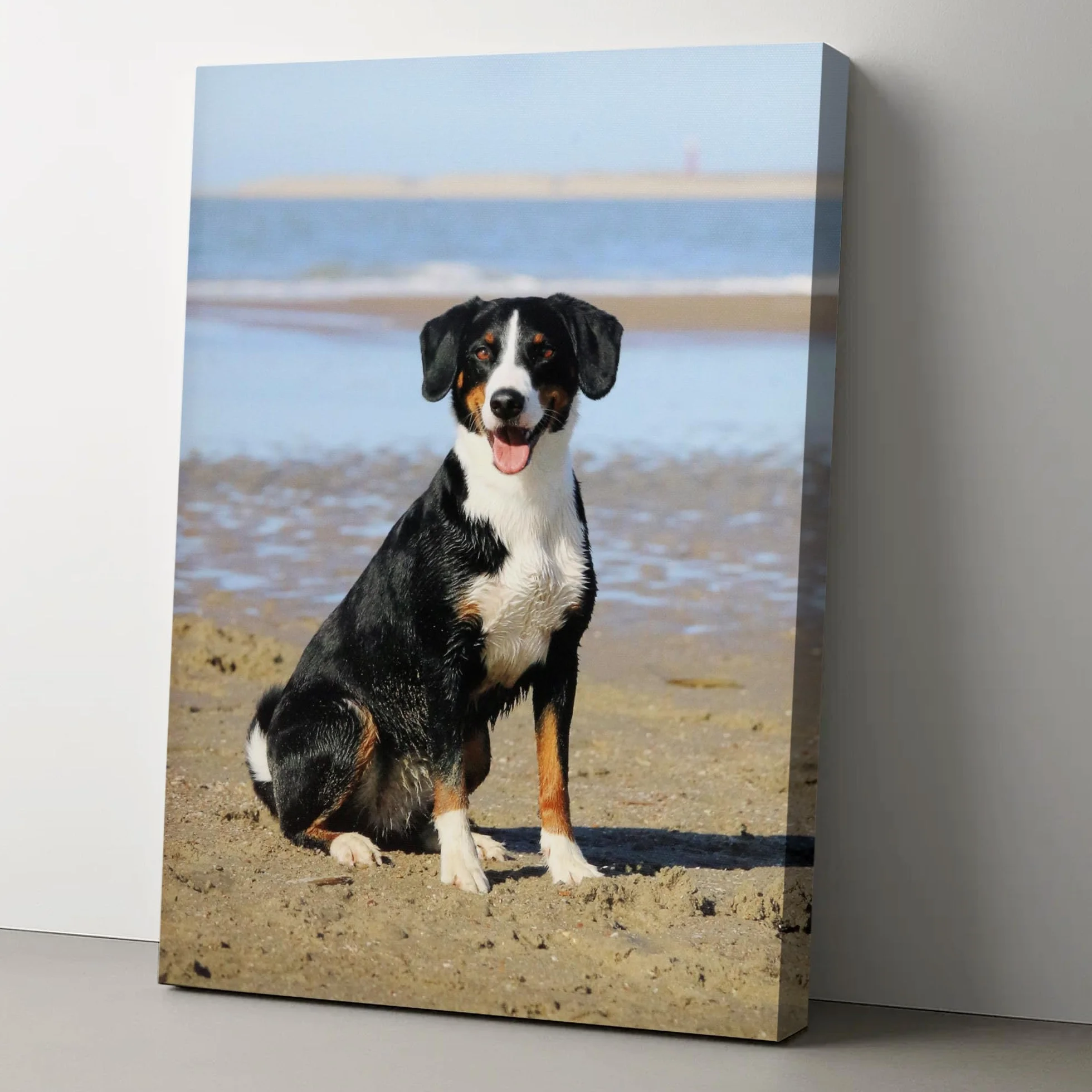 Quadro Personalizzato con Foto, Tela Personalizzata con Foto, Opzioni di Dimensioni Multiple