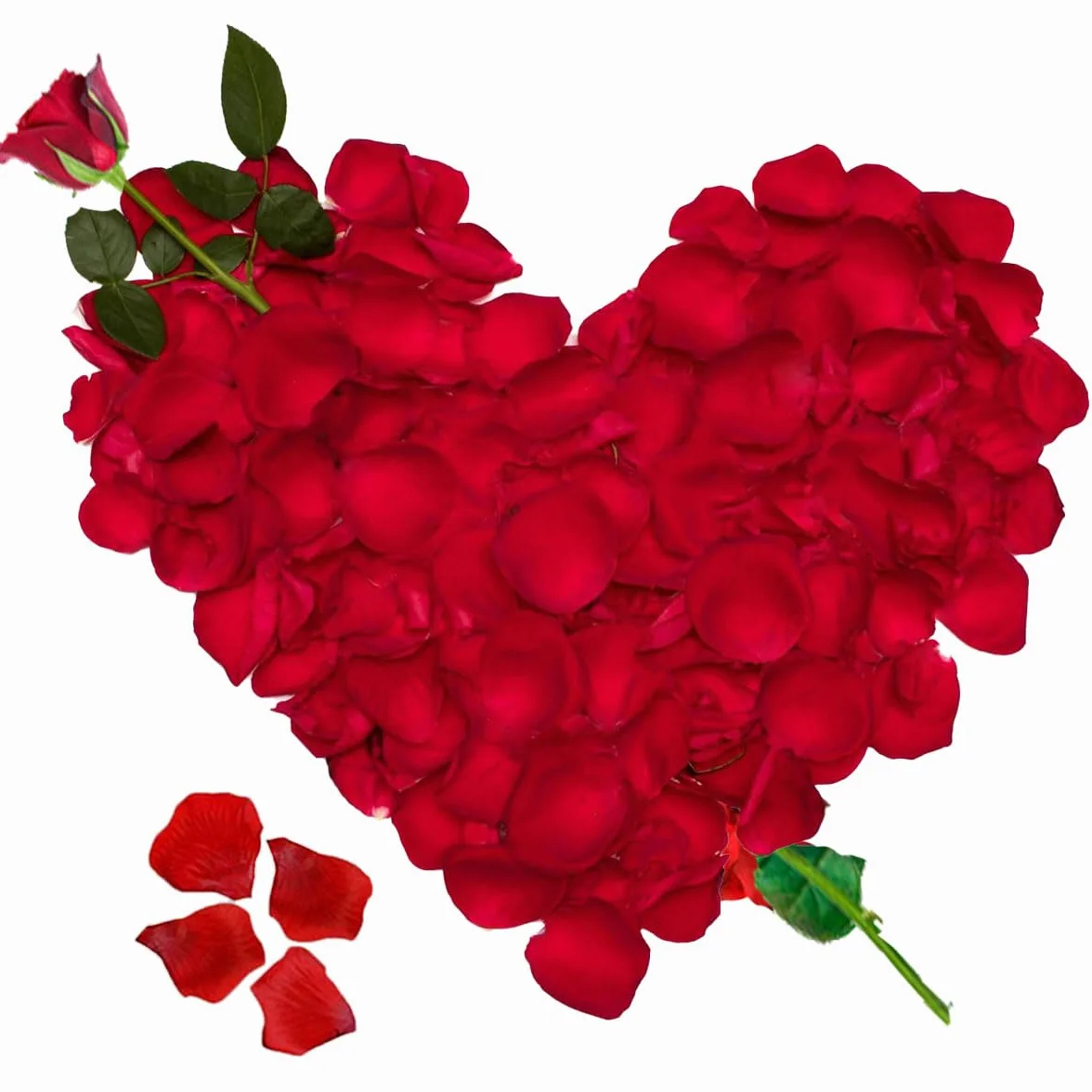 Jonami Petali di Rosa in Seta Artificiale Rossi per Decorazione Romantica 1200 pz
