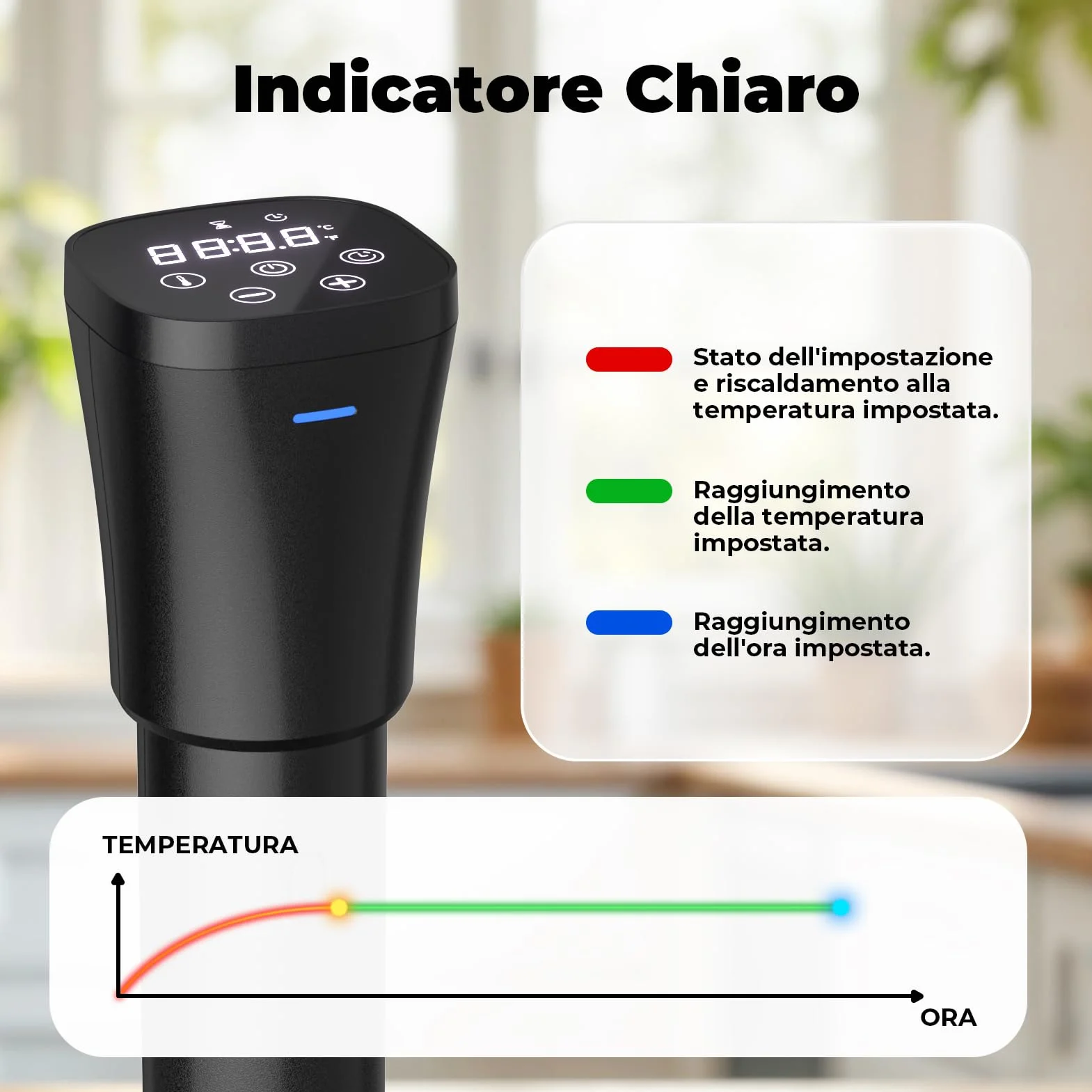 Sous Vide Roner 1000W Cucina a Bassa Temperatura Circolatore Termico Professionale