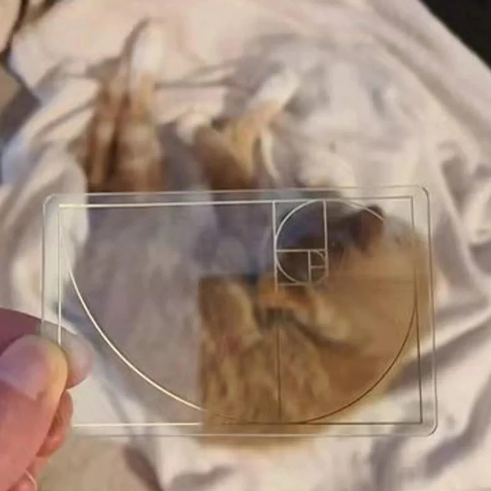 Golden Ratio Viewfinder Strumento di Composizione Rapporto Aureo Fibonacci Righello Acrilico Trasparente 7 x 4,33 cm