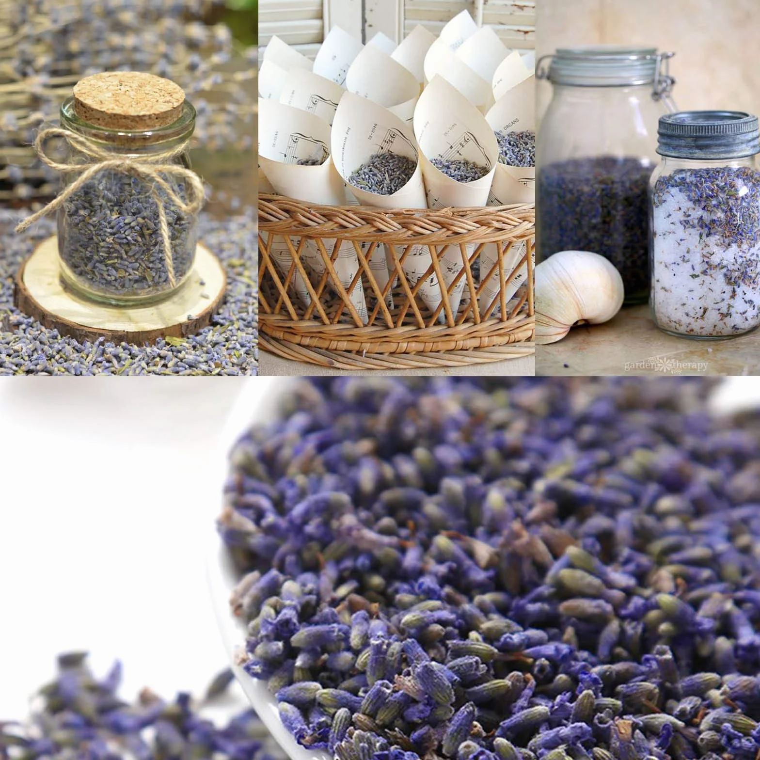 Fiori di Lavanda Boccioli Lavanda Essiccata per Sapone, Sacchetti Profumati, Matrimonio, 225g