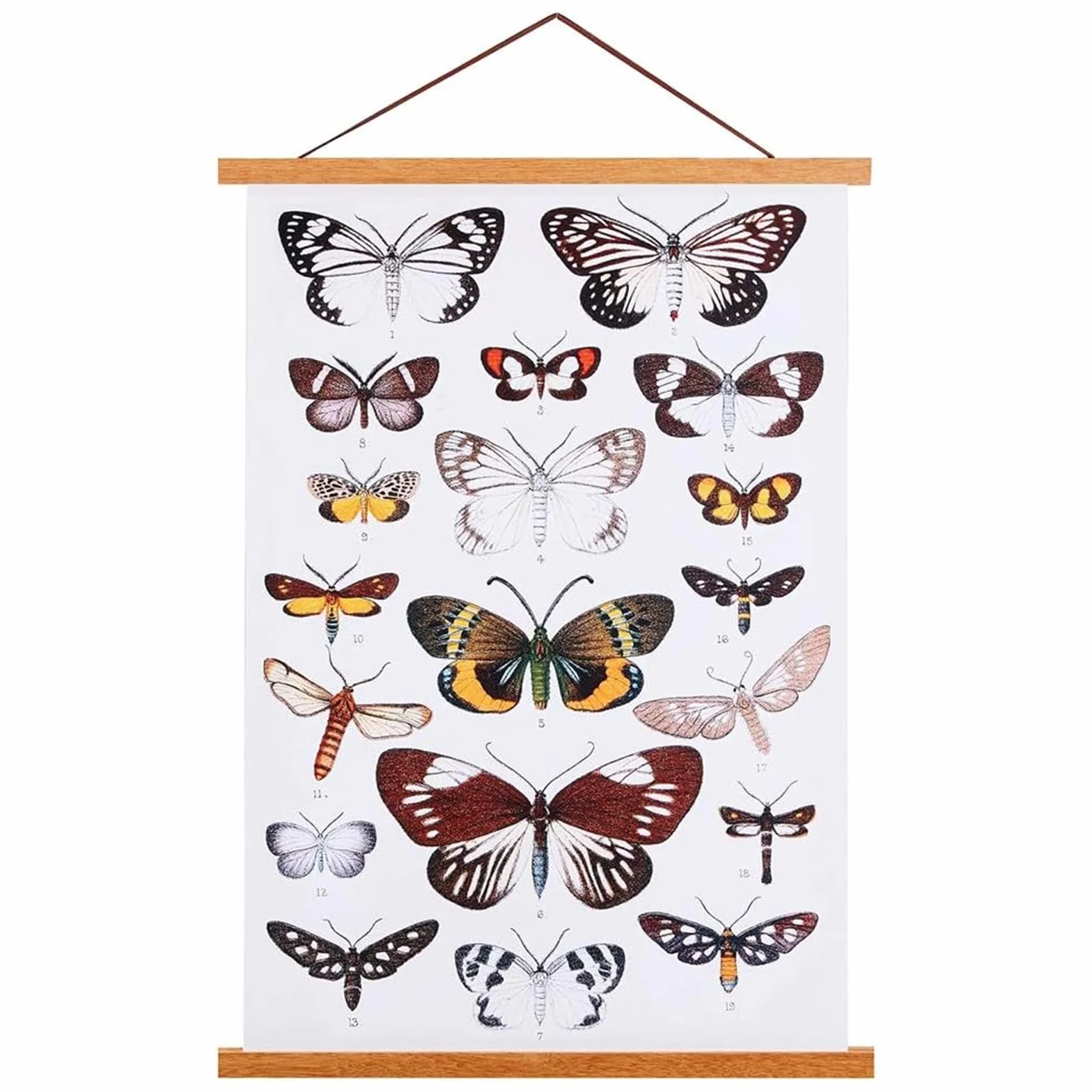 Sanauto Cornice a guida magnetica in legno per poster, supporto magnetico per poster, supporto per cornici, per immagini e fotografie, 50 x 70 cm, 50 x 100 cm, 50 x 75 cm (50 cm, Teak)