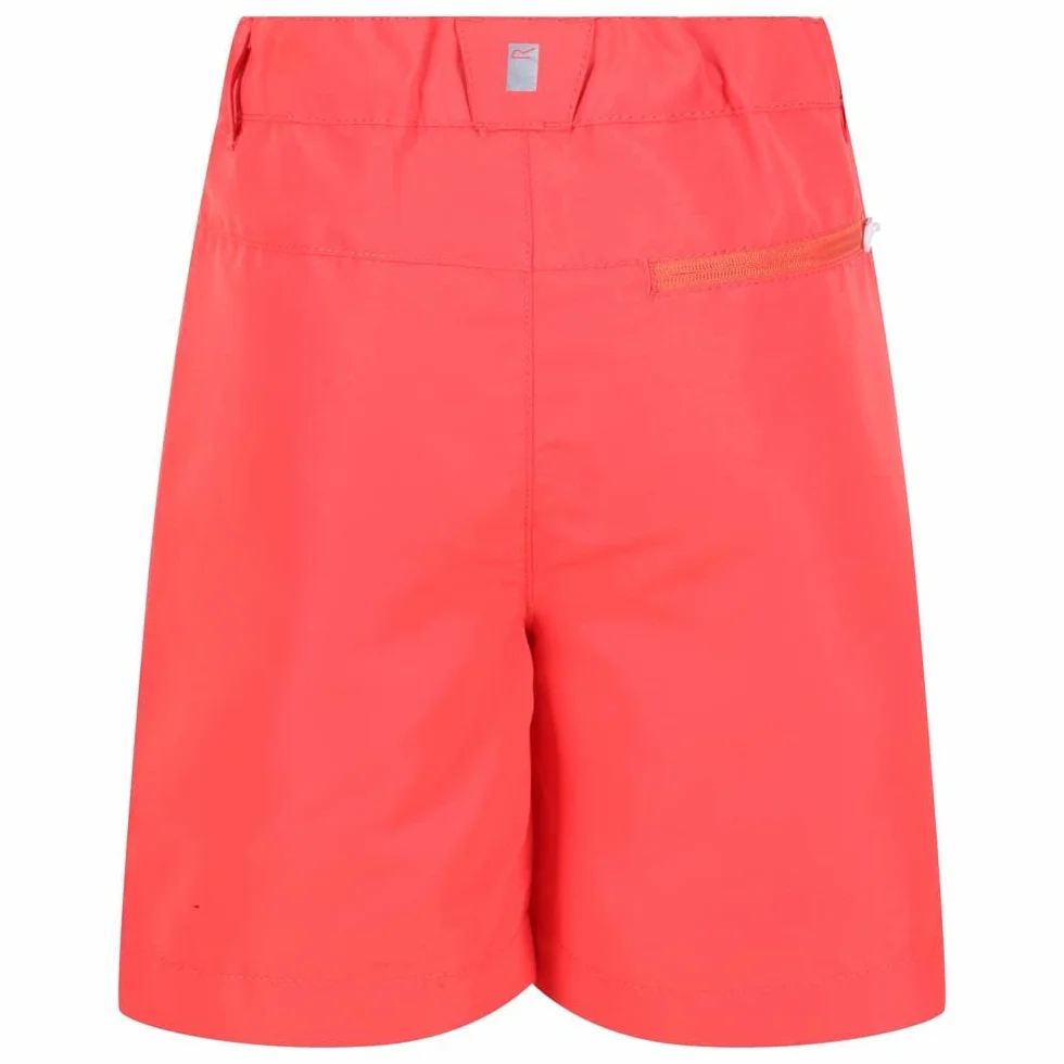 Regatta Sorcer Mountshtii Pants Unisex