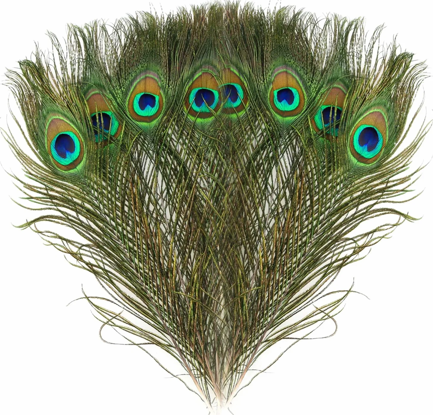 Piume Naturali di Pavone Decorative 40 Pezzi 20-25cm per DIY Carnevale