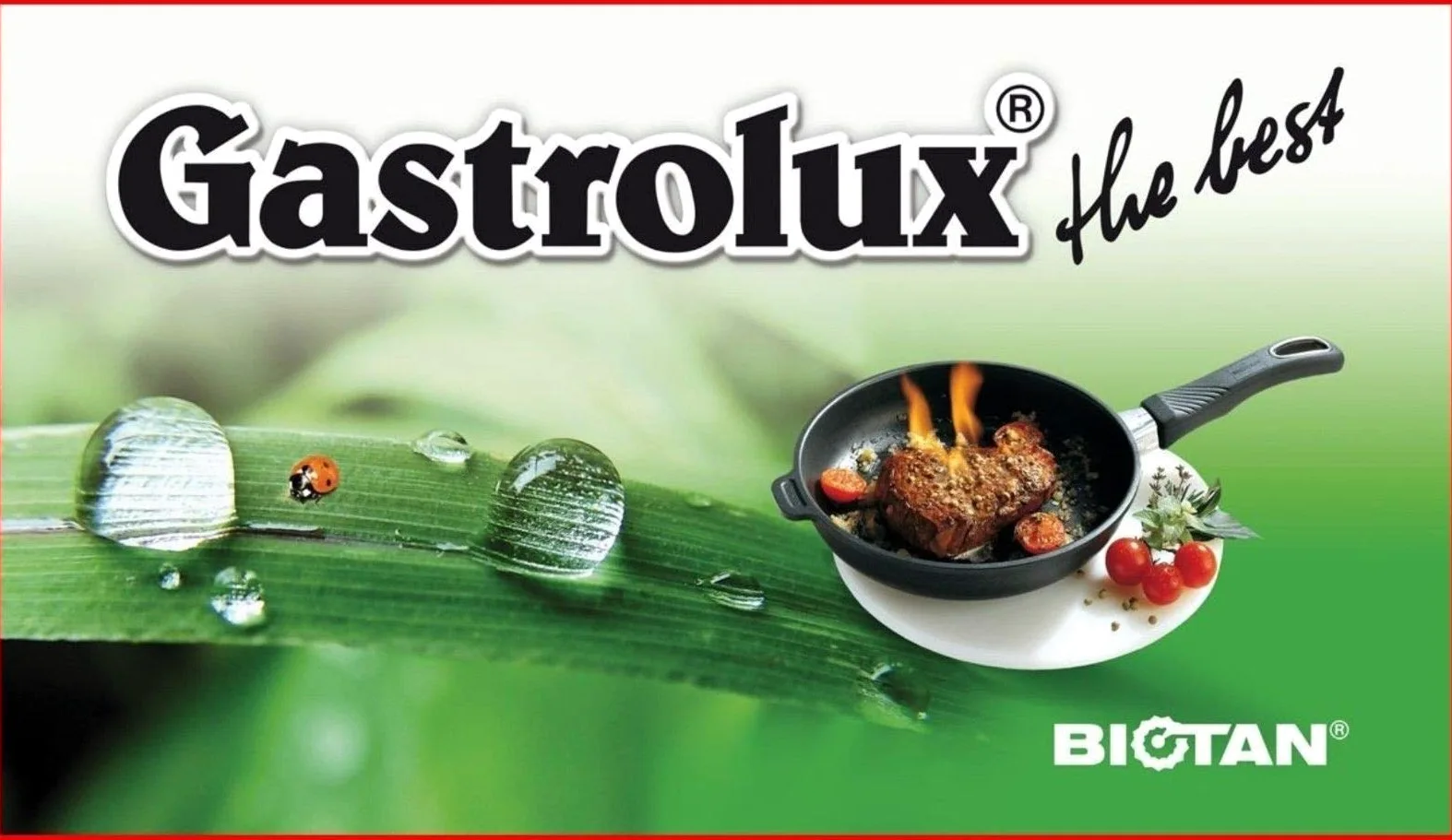 Gastrolux - Casseruola 28cm 728, 4L, Nero, Antiaderente, Pentola per Stufare e Arrostire