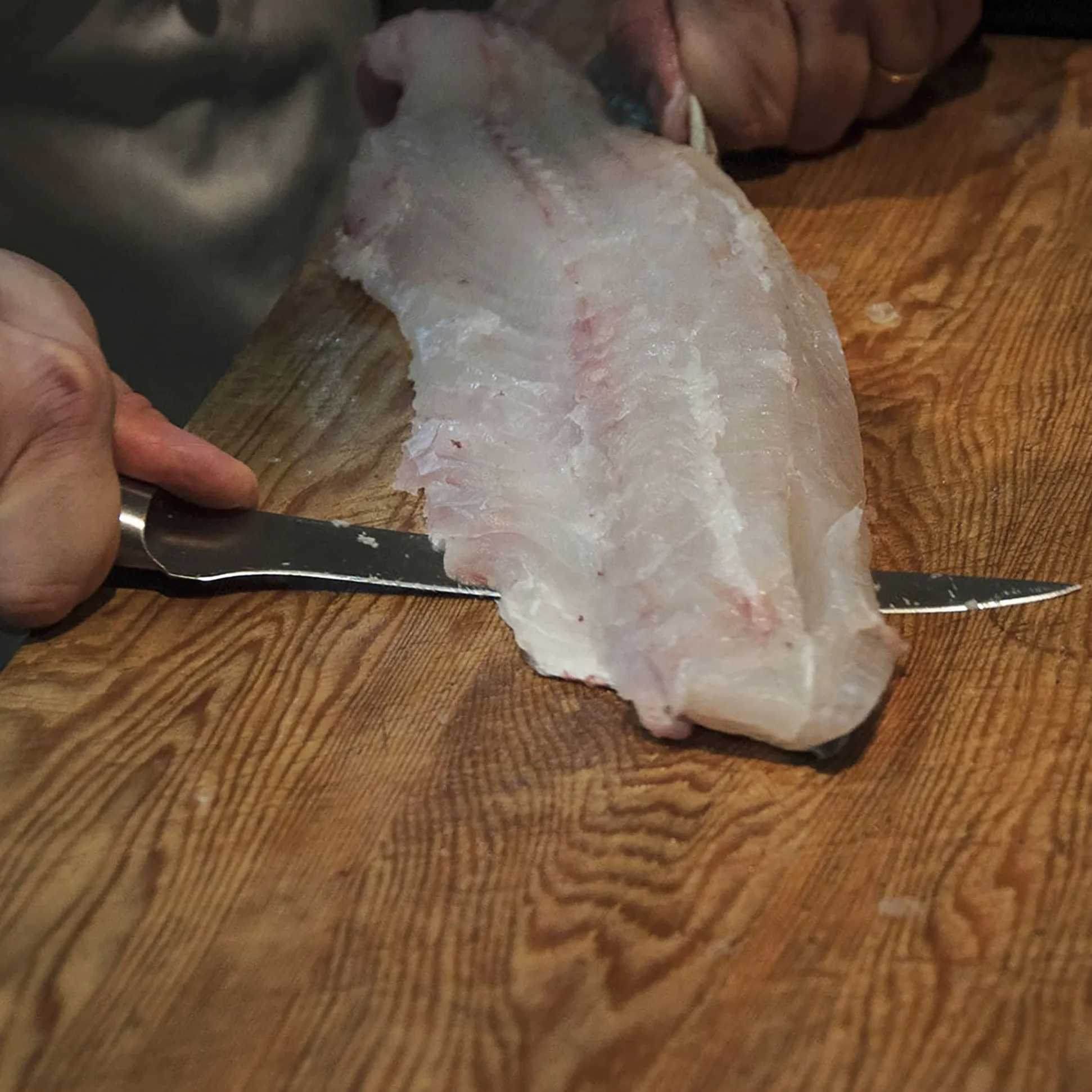KOTAI | Coltello da pesce | Filetto di sogliola | Lama flessibile da 20 cm | Ideale per sfilettare il pesce | Affilato a mano | Acciaio inossidabile giapponese 440C | Manico in legno di Pakka