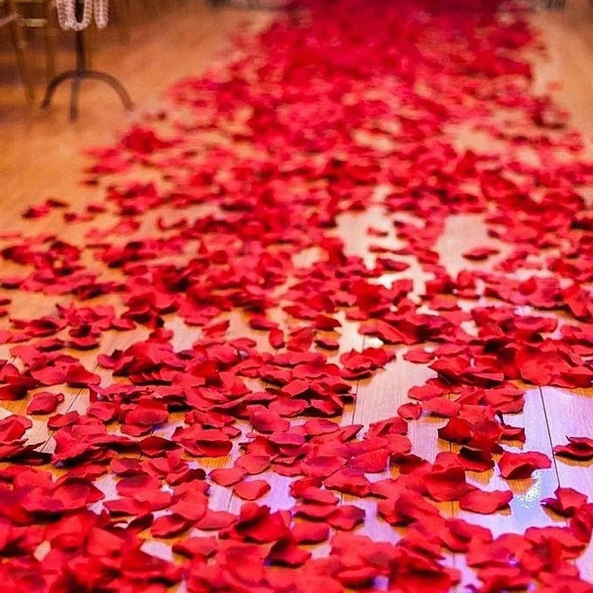 Jonami Petali di Rosa in Seta Artificiale Rossi per Decorazione Romantica 1200 pz