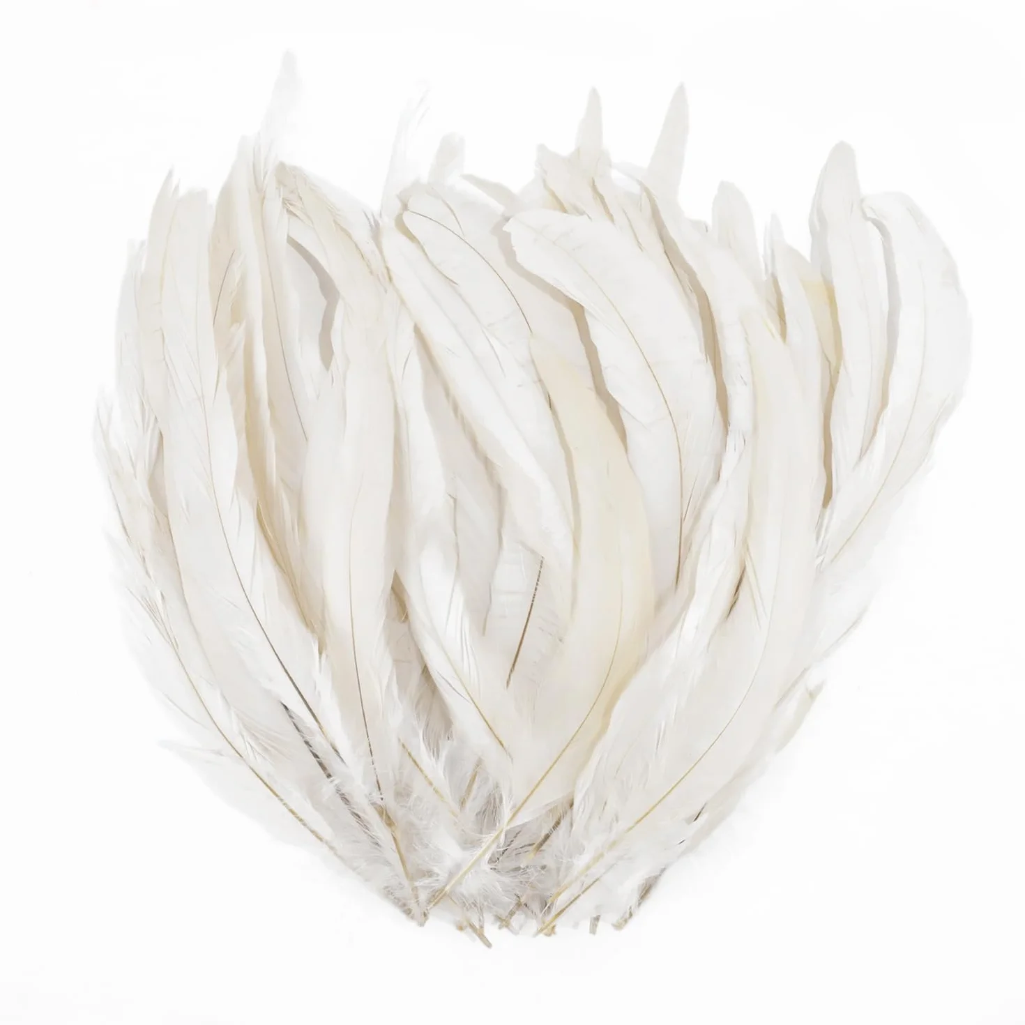 Piume Decorative Bianche Naturali Piume Gallo per Fai da Te Copricapo Artigianato Costum (25-30cm) 20 Pezzi