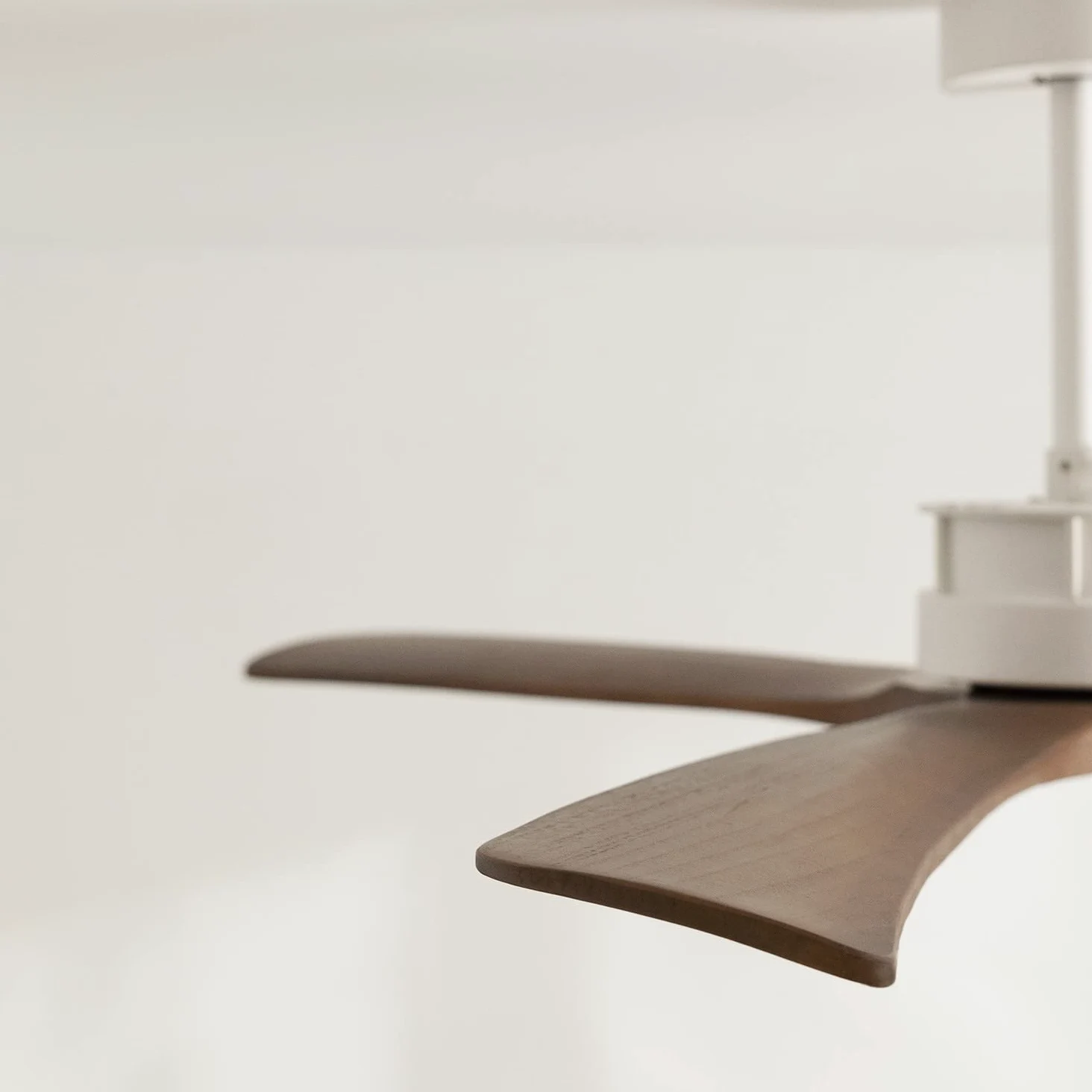 CREATE / WIND LARGE DC/Ventilatore da soffitto Bianco e pale Legno scuro con WIFI / 6 velocità, silenzioso, programmabile, due altezze