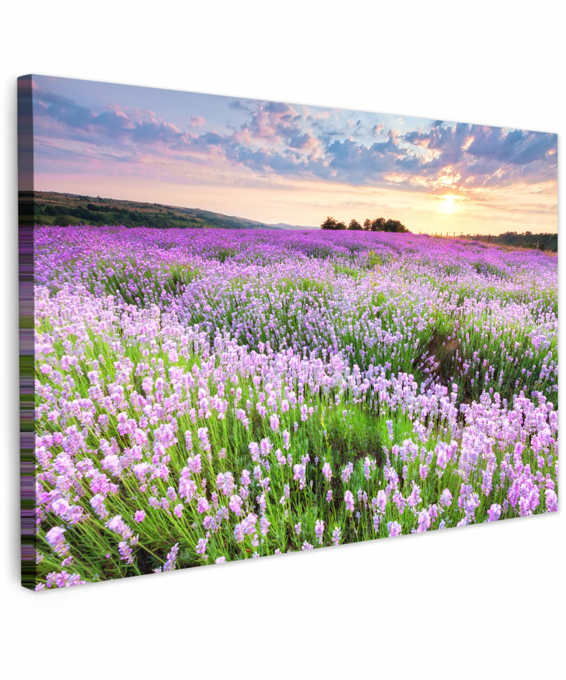 MuchoWow© Quadro su Tela 120x80 cm Stampe da Parete Quadri Cucina Camera da Letto Dipinto Arredamento Casa Fiori - Lavanda - Viola - Cielo - Tramonto - Prato - Natura