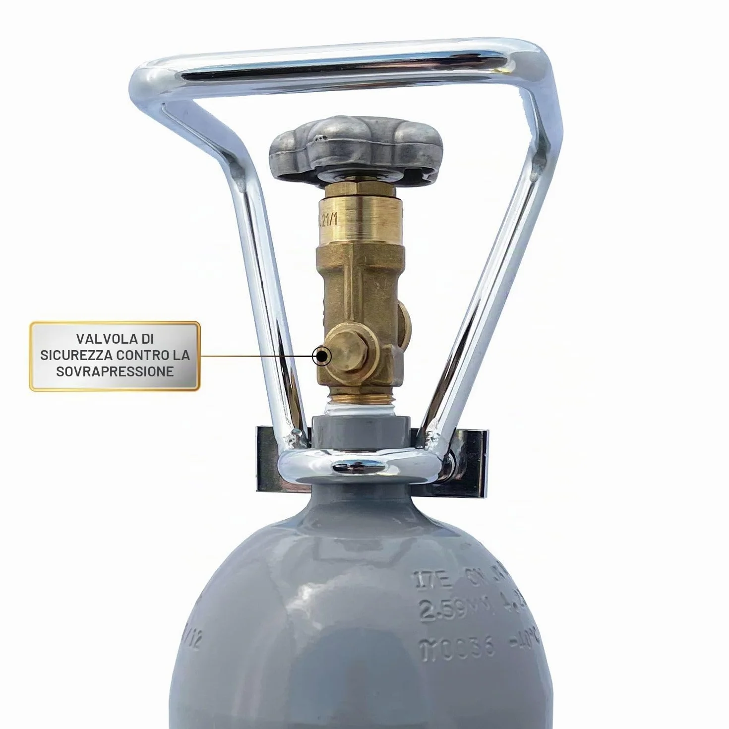 Bombola di CO2 - Bombola di stoccaggio riutilizzabile con anidride carbonica E290 - Bombola di anidride carbonica per sistema di erogazione (2 kg)