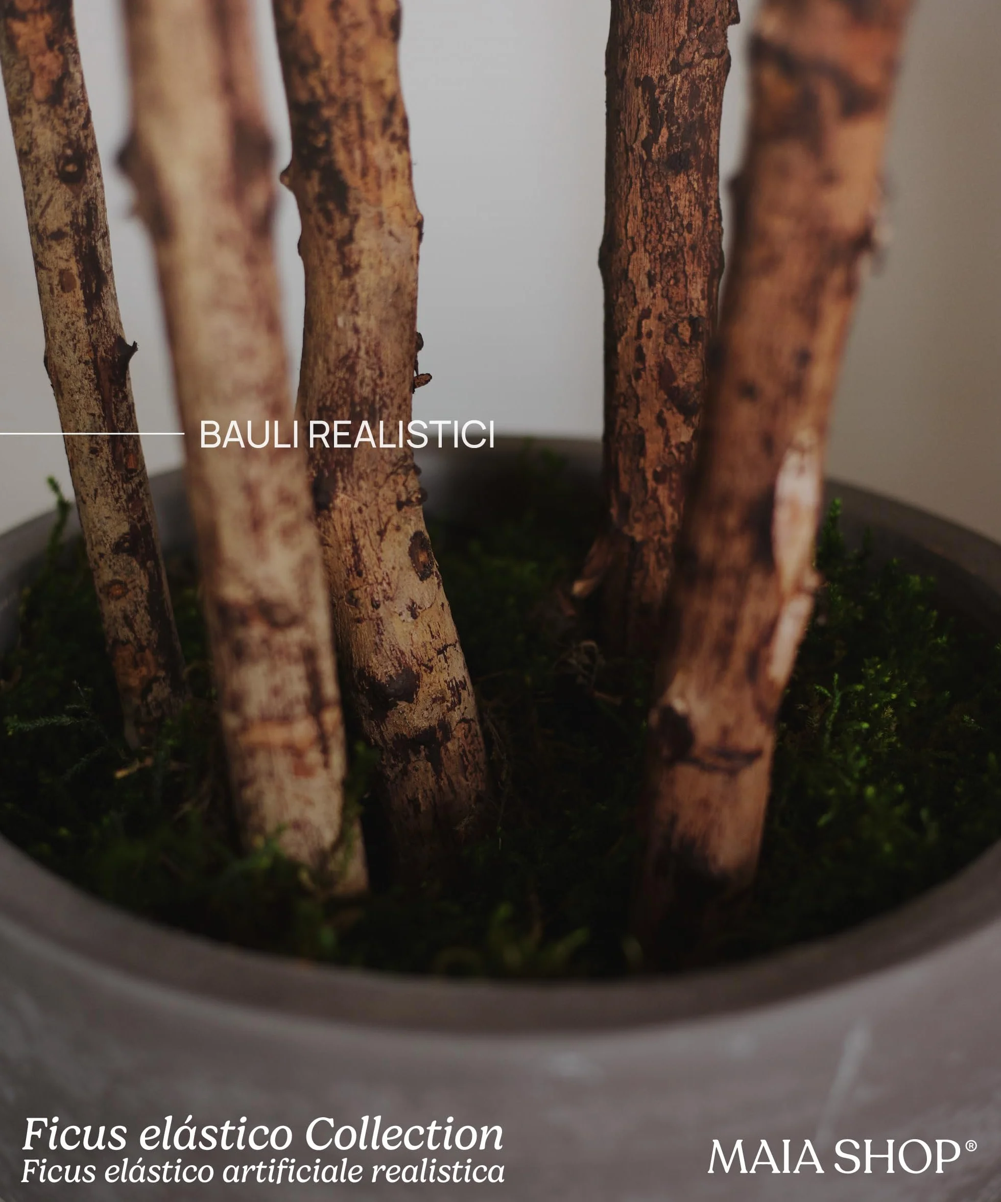 Ficus artificiale 180 cm, pianta finta grande da interno Ficus Elastica iperrealistica, albero decorativo