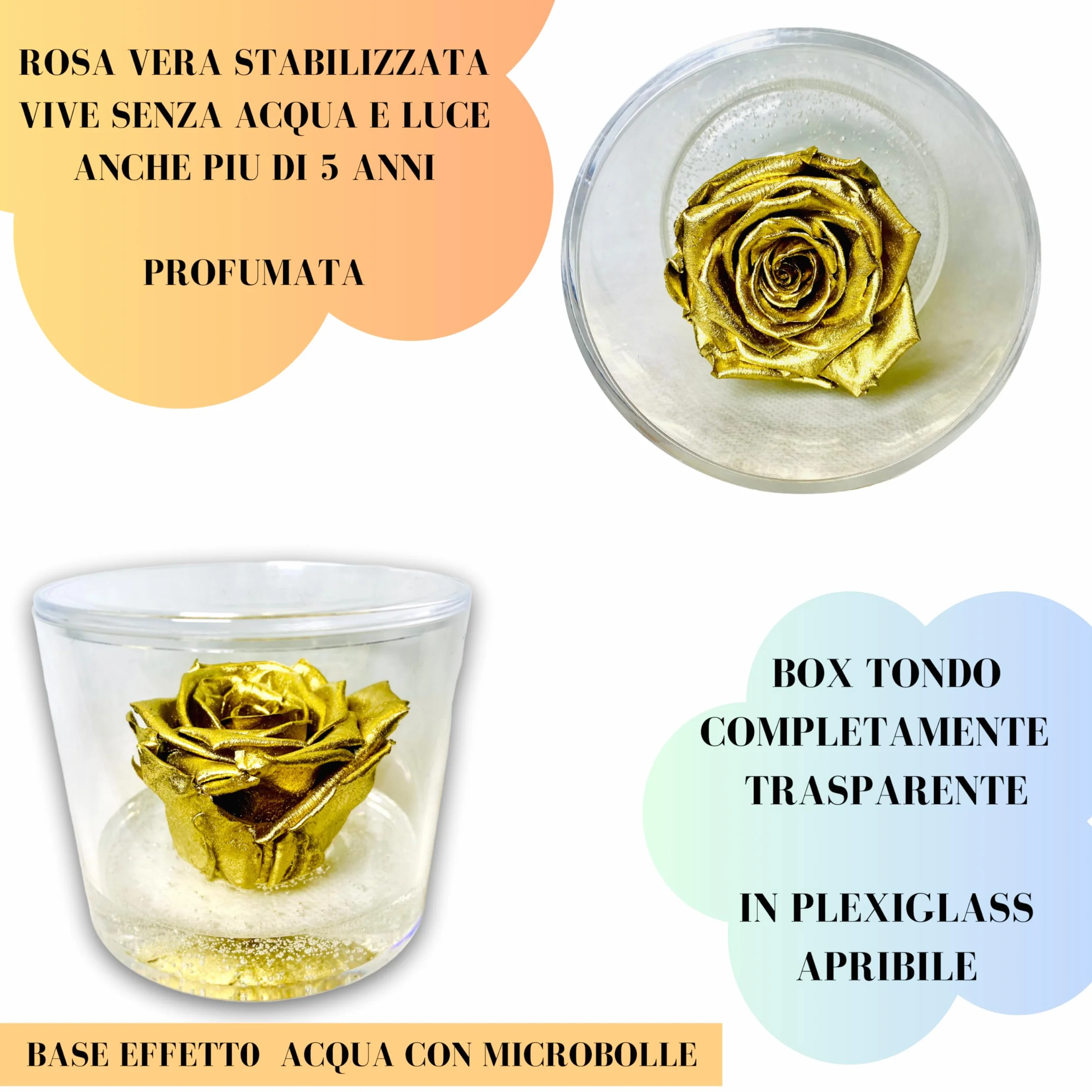 Box Tondo Rosa Oro stabilizzata Profumata plexiglass 9cm Idea Regalo Nozze Matrimonio Anniversario 50 Anni Fatto in Italia