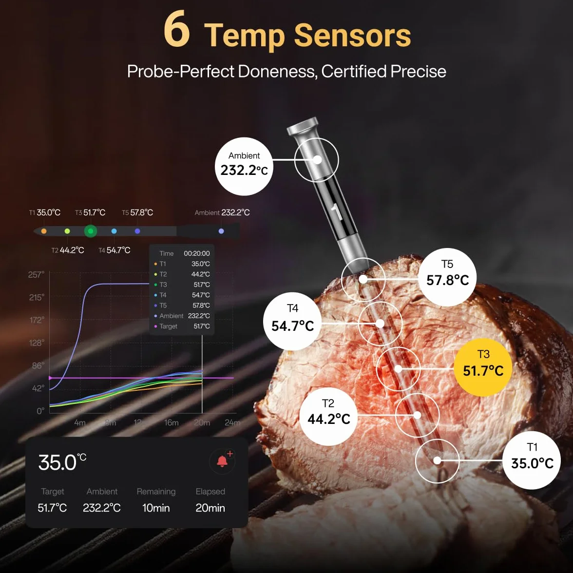 Typhur Sincronizzazione WiFi Wireless Carne Termometro Digitale, 2 Sonde, Base Intelligente, Display LCD, Portata illimitata, Bluetooth 5.4, Migliore Stabilità, Precisione Certificato NIST, BBQ, Grill