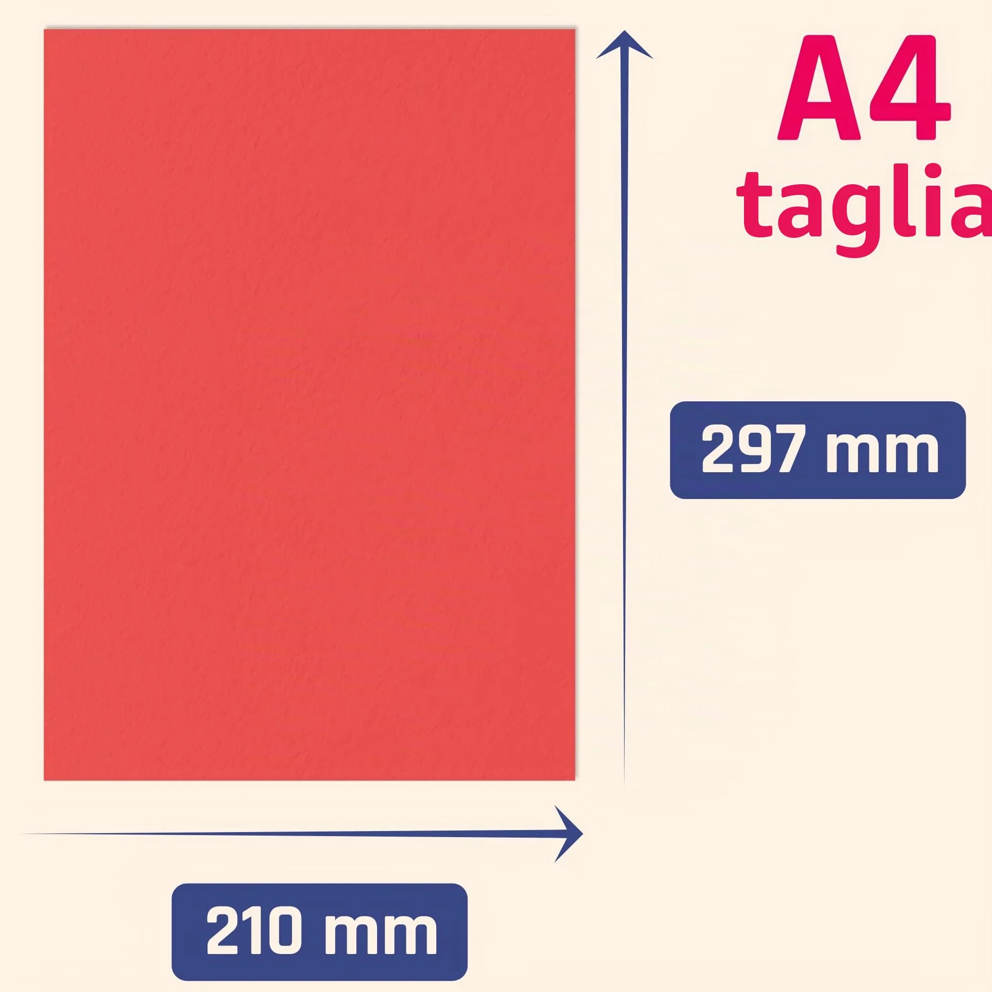 100 fogli, A4 120 g/m² Fogli Colorati Carta Colorata - 10 Colori