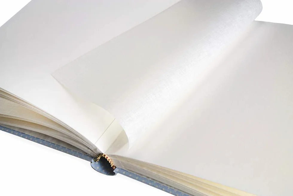 Album Fotografico 20X25 Cm 60 Pagine Bianche in Cartoncino Spesso e Resistente Intervallate da Pergamino Formato 20x25, Beige