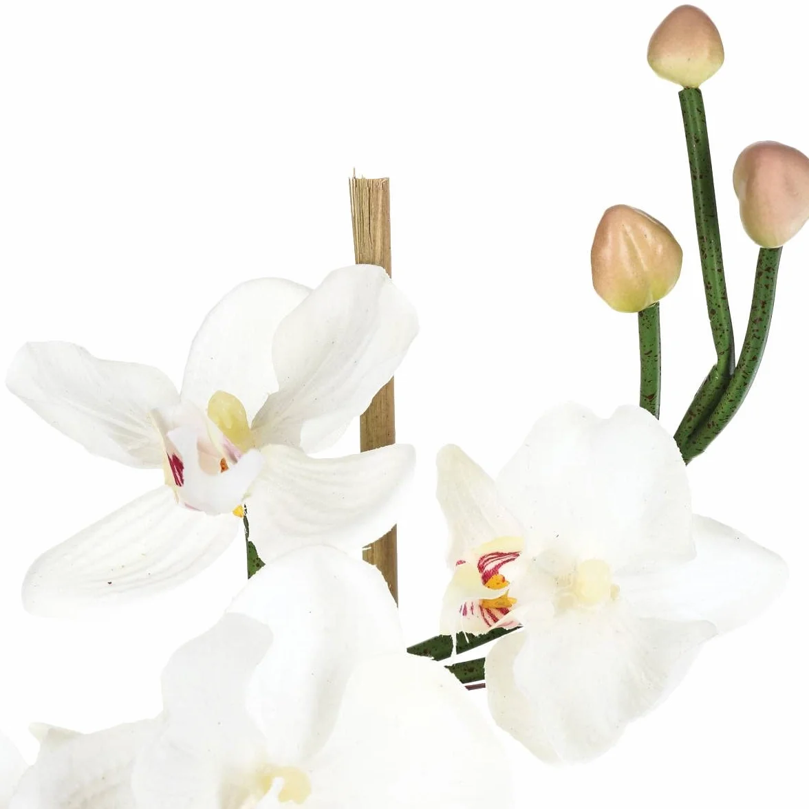 ATMOSPHERA CREATEUR D'INTERIEUR - Composizione di orchidee artificiali in vaso di vetro H37cm