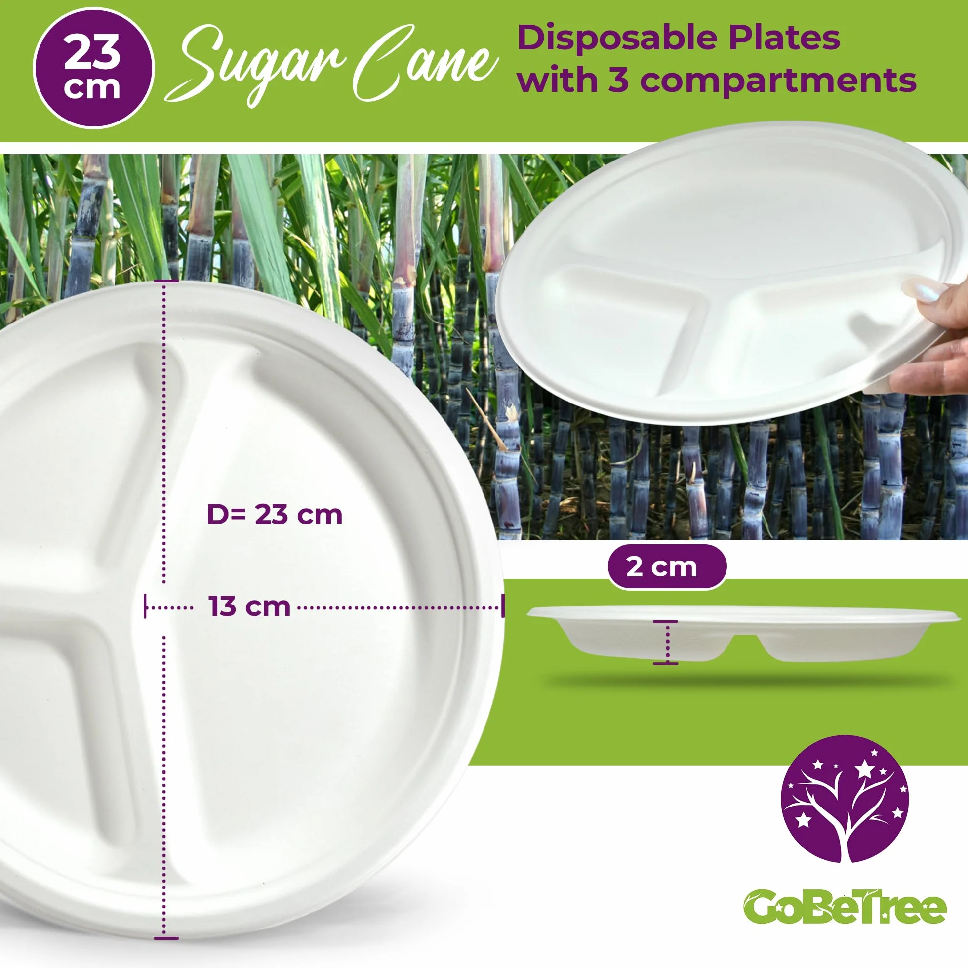 GoBeTree COMPARTIDOS CA 100 piatti 23cm 3 scomparti