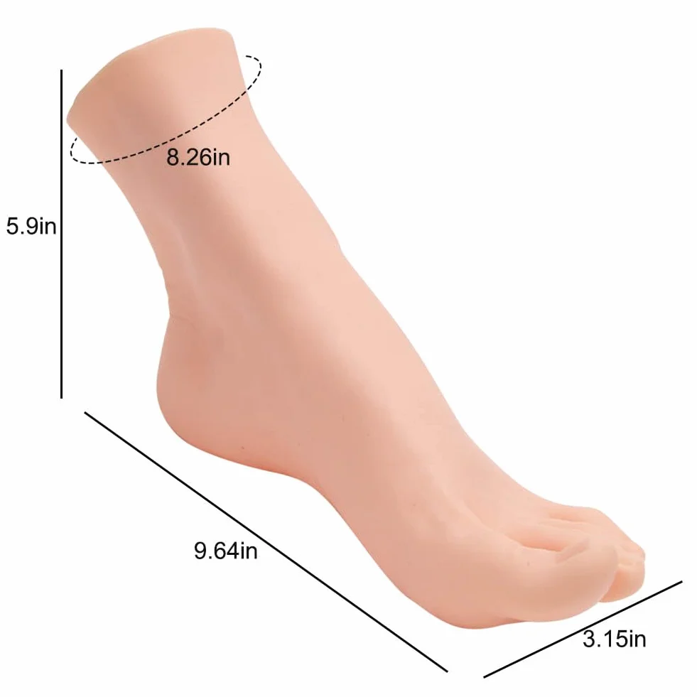 Piedi realistici in PVC per manichino maschile modello piede scala naturale insegnamento disegno pittura oreficeria destro uomo 24,5 cm