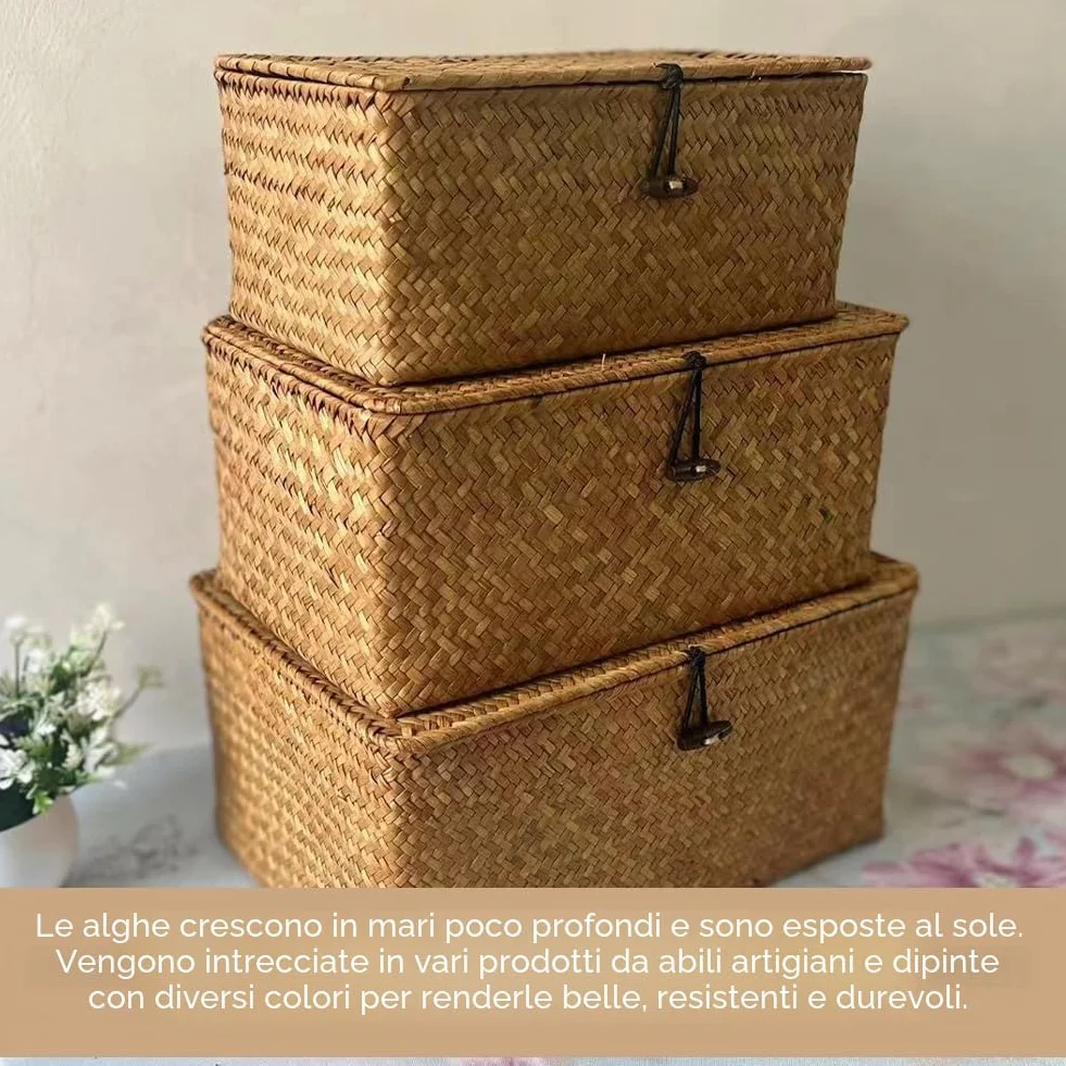 Cesto in rattan con coperchio 3 pezzi, portaoggetti in giunco marino naturale, intrecciato per scaffale