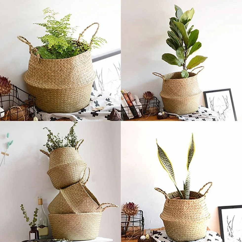 Cesto in Vimini per Piante con Alghe Intrecciate 38x33cm Decorazione e Conservazione