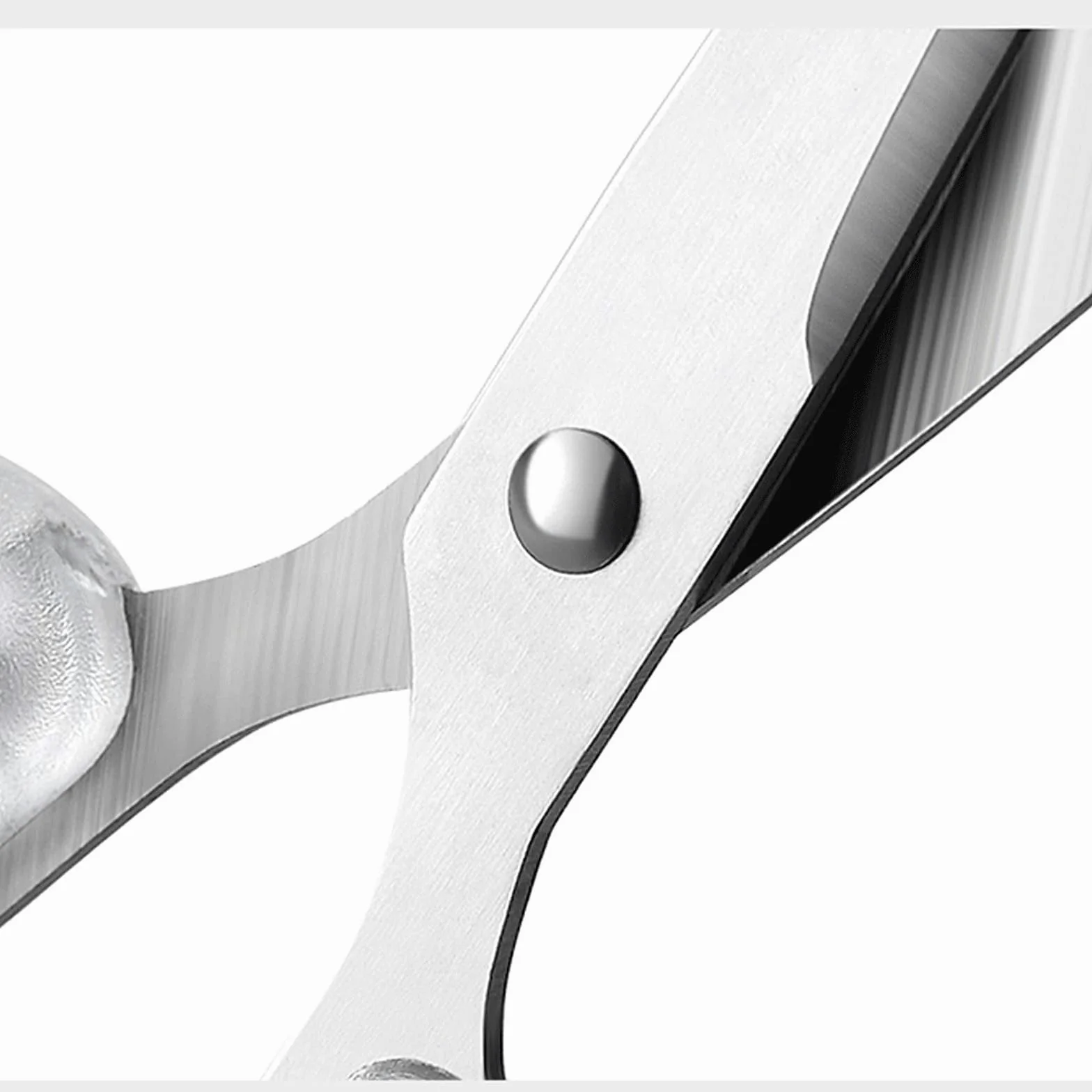 Forbici da Cucina Multiuso, Comoda Impugnatura Trasparente, Fuse, Forbici da Ufficio in Acciaio Inossidabile - Confezione da 1