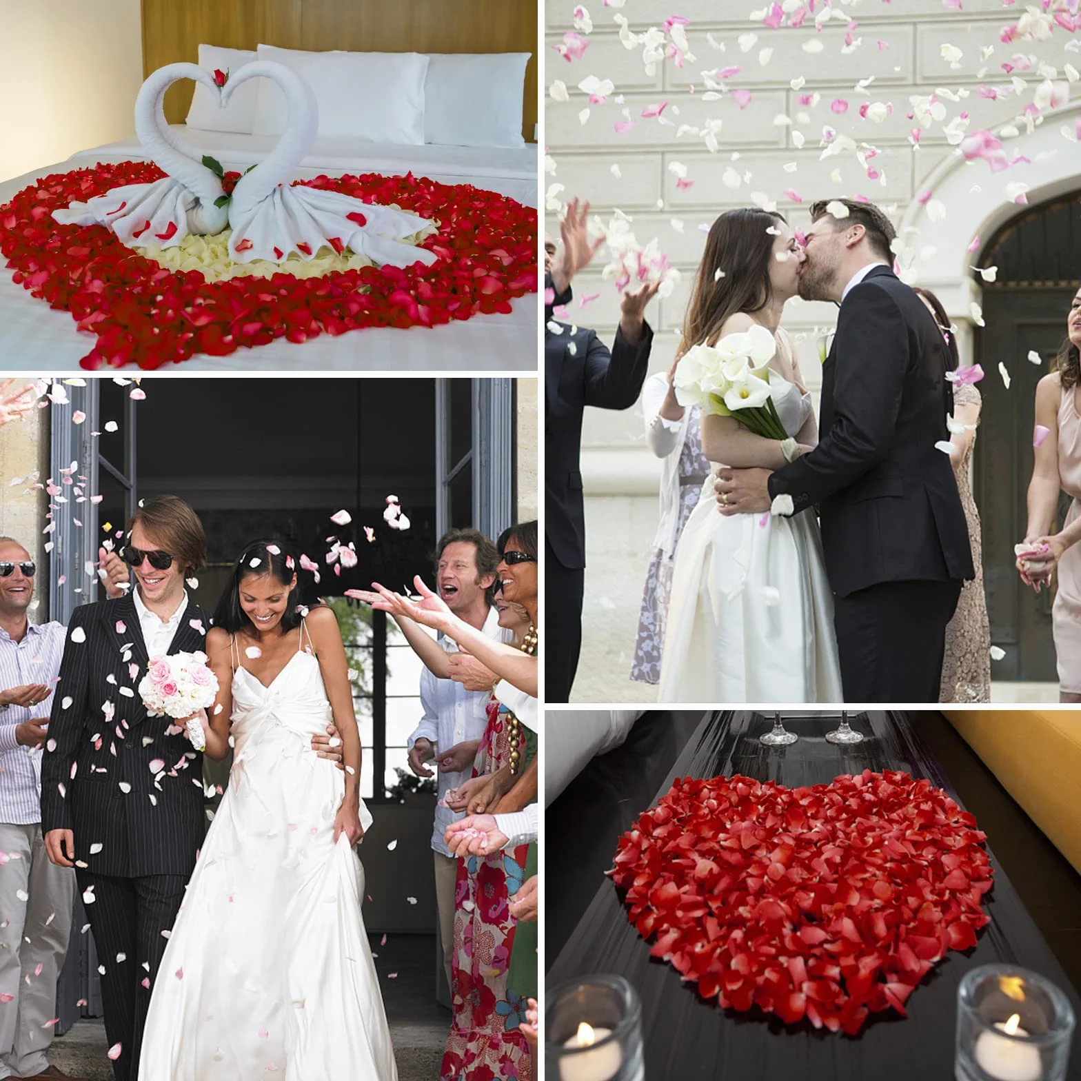 Petali di Rosso Artificiali 1200 pezzi Matrimonio San Valentino Centro Tavola