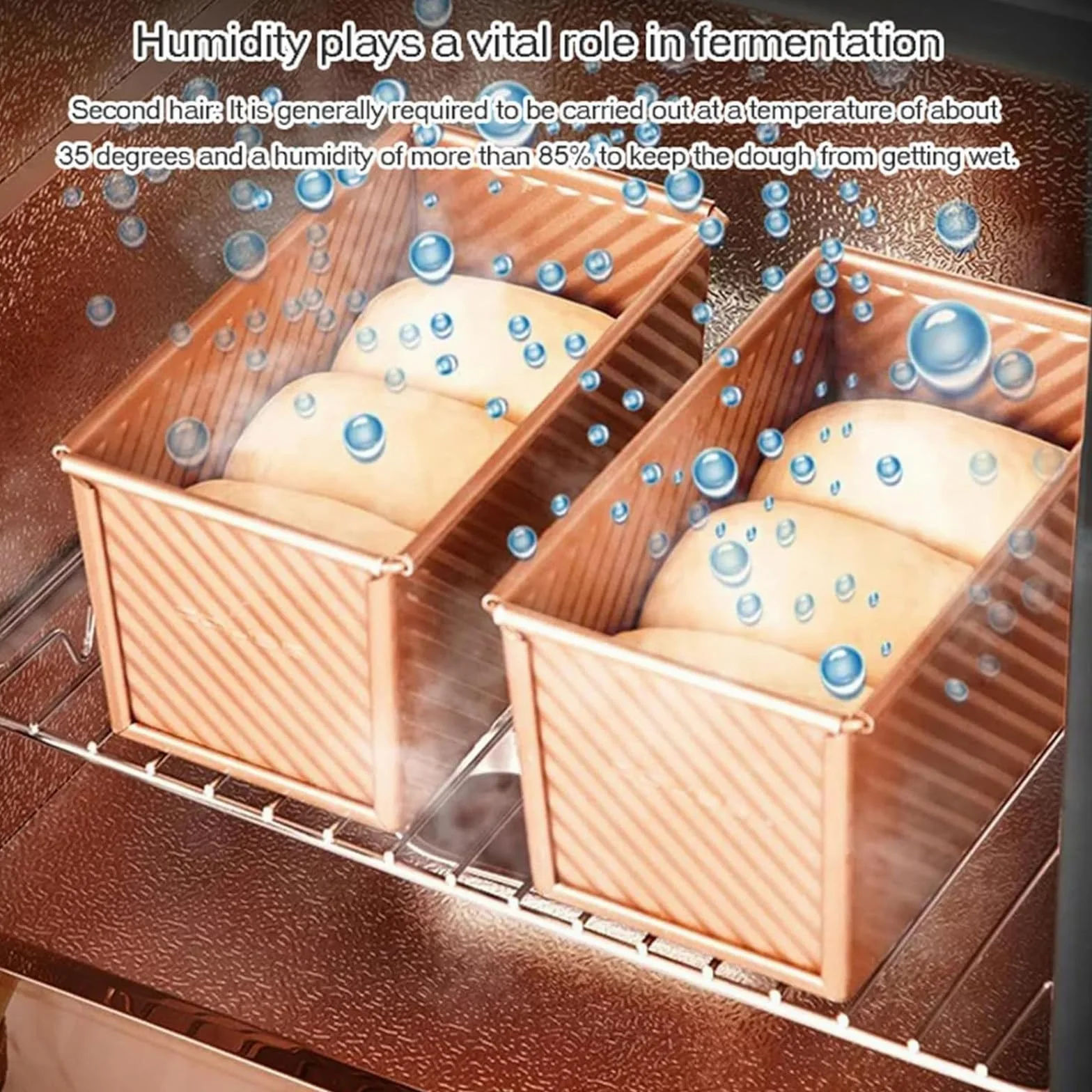 Scatola per Lievitazione del Pane 40 L 260W | Lievitatore Elettrico con Controllo umidità | per Lievito Madre, Pizza & Yogurt | Temperatura Regolabile 20-50℃ | Ideale per Casa