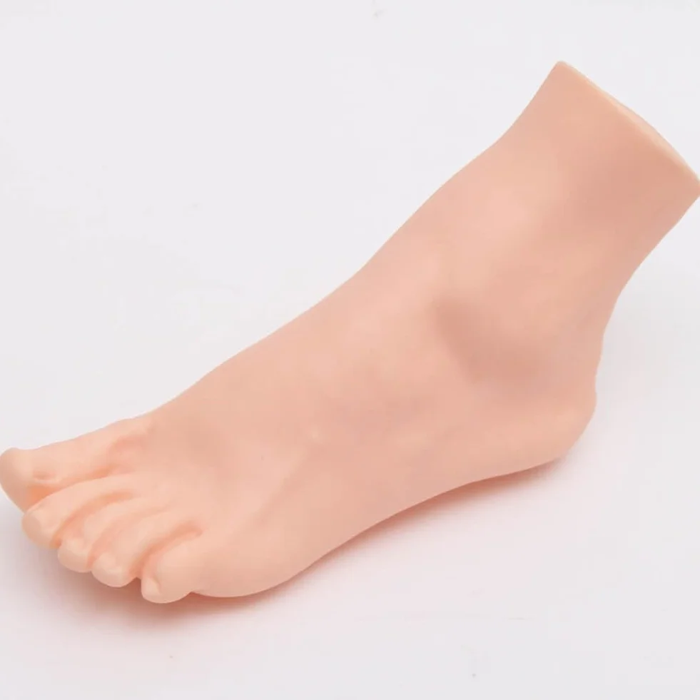 Piedi realistici in PVC per manichino maschile modello piede scala naturale insegnamento disegno pittura oreficeria destro uomo 24,5 cm