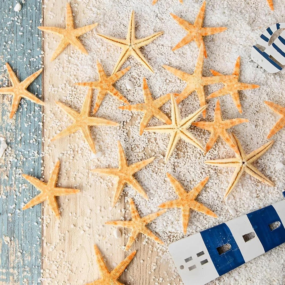 JEYORZY 50 Pezzi Stelle Marine Marine Elementi Decorazione Fotografia Oggetti di Scena Decorazioni Casa Materiali Artigianali Fai da Te Ornamenti Paesaggistici 1-2CM