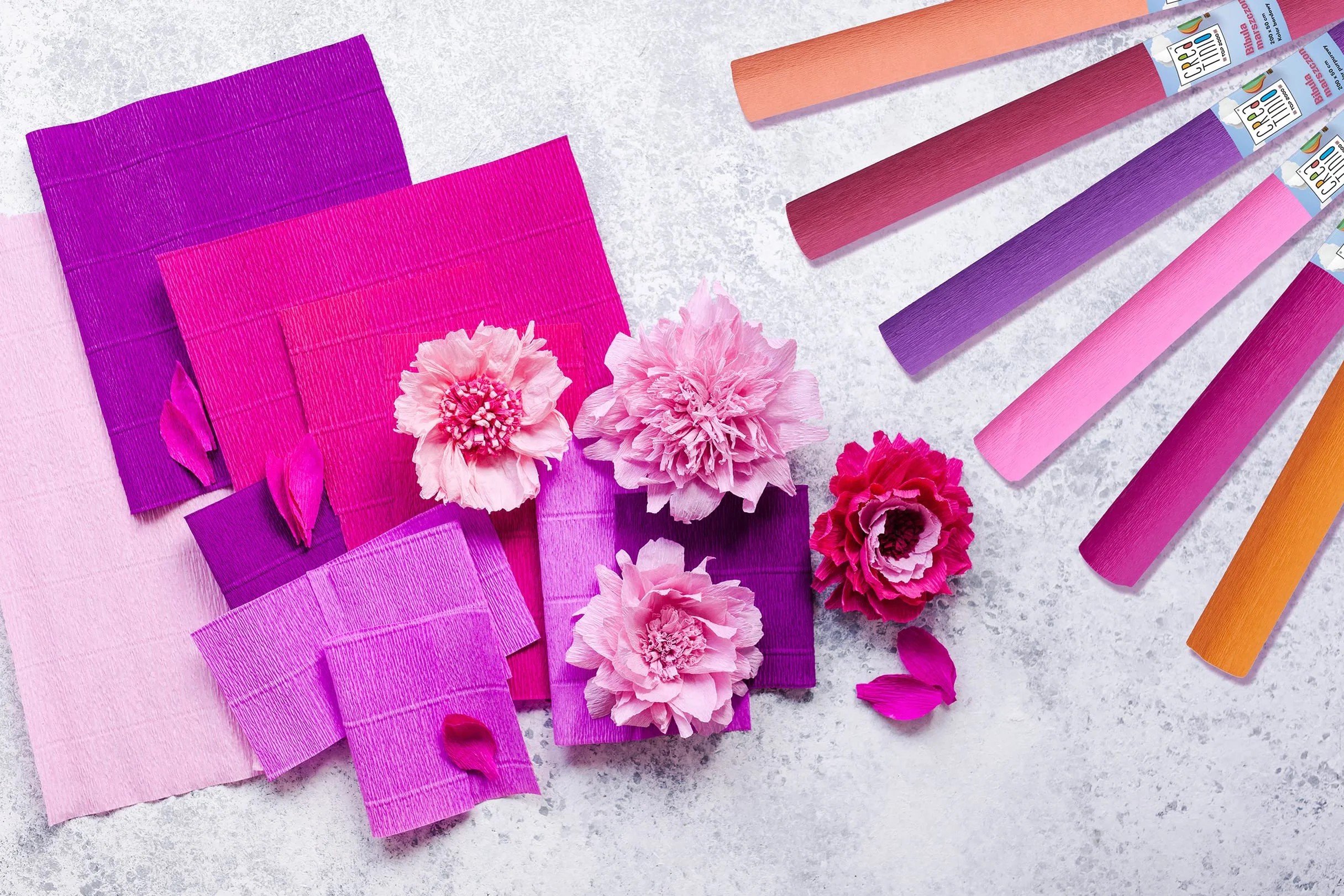 CREATINIO MIX COLORE PARELLO 25x2000 Confezione 10 Pezzi