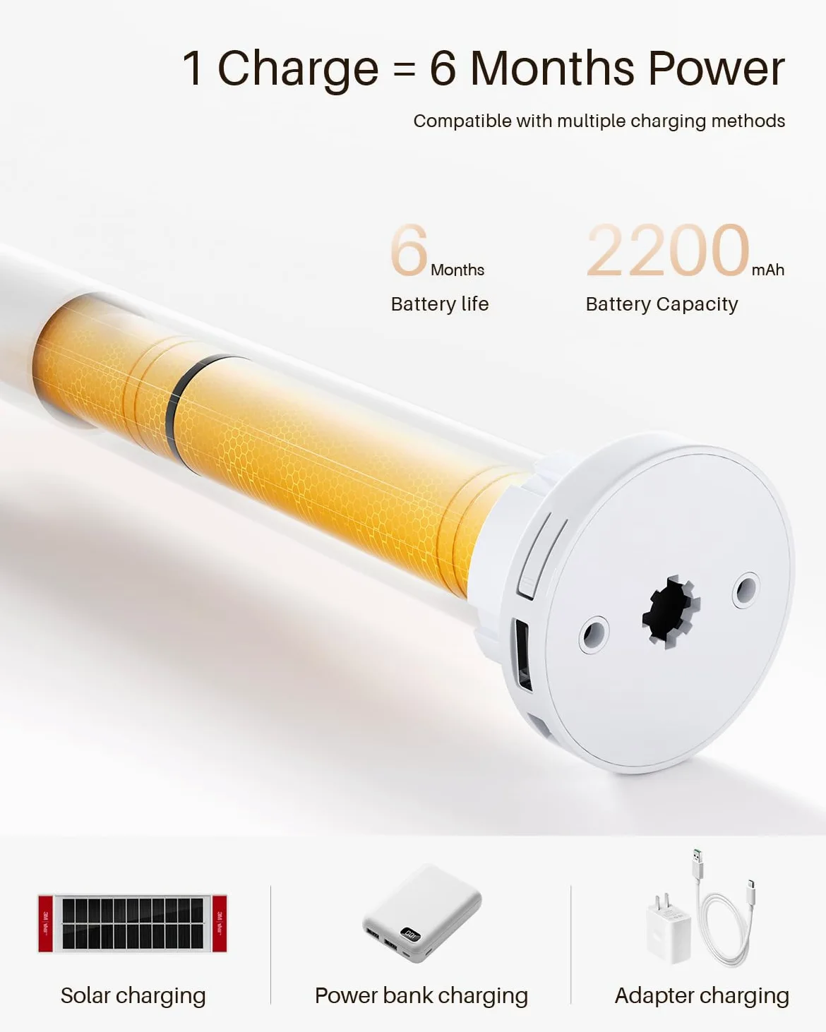 Tende Zebra Intelligenti per Finestre, Tende Elettriche Alexa con Telecomando, Tende Automatiche per Finestre Interne con Filtraggio della Luce e Protezione della Privacy (80L x 183A cm