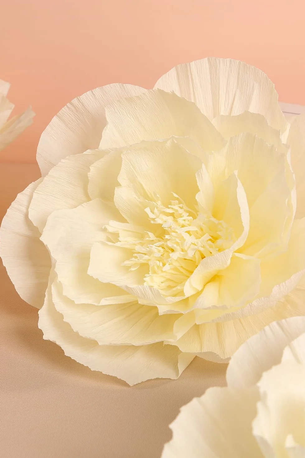 Decorazioni floreali giganti in carta crespa per parete, set da 6 beige
