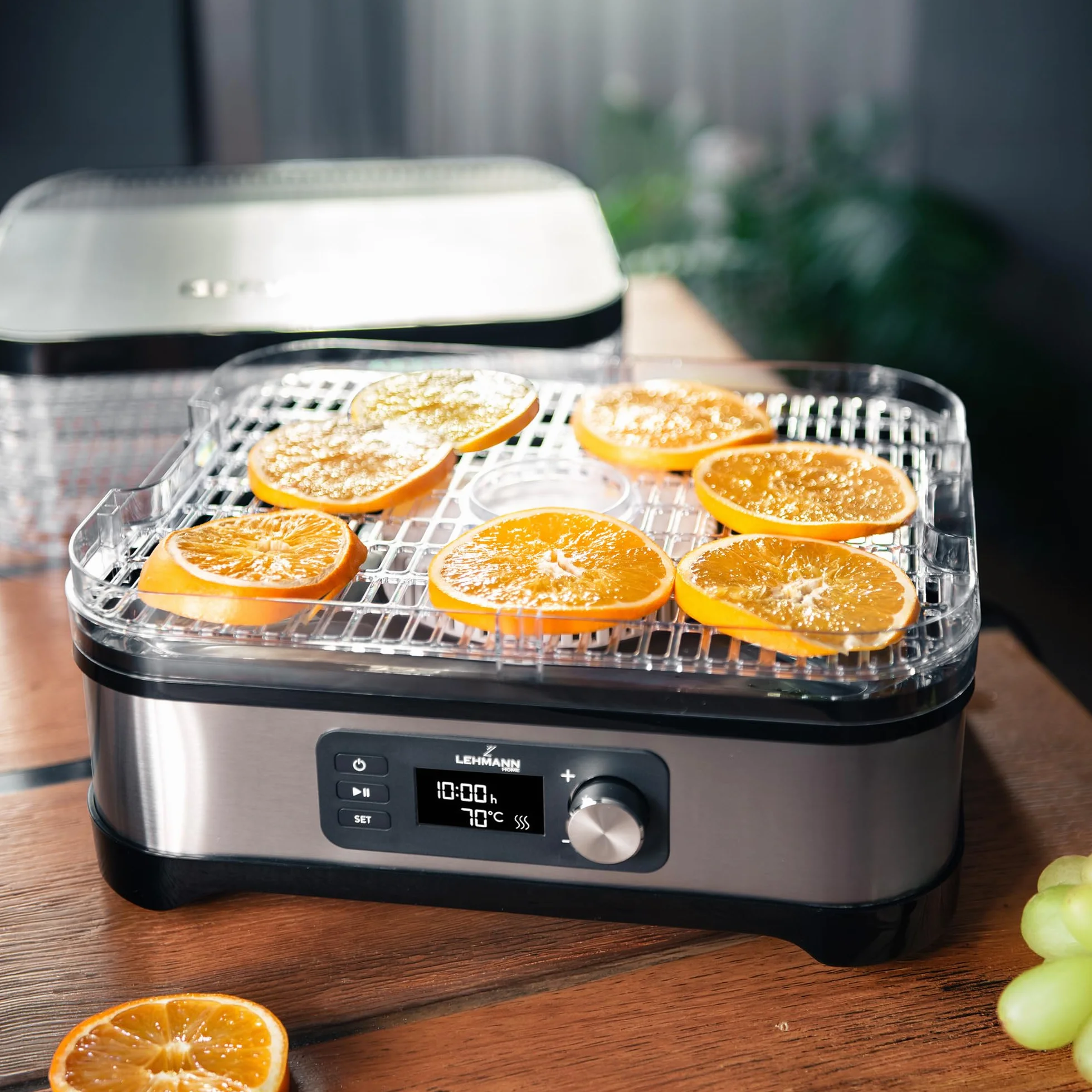 LEHMANN Essiccatore Alimentare, 5 Vassoi Regolabili in Altezza, Regolazione Temperatura 35-70°C, Timer 24h, BPA Free, Acciaio Inox, Essiccatore per Alimenti, Funghi, Frutta, Carne e Verdura