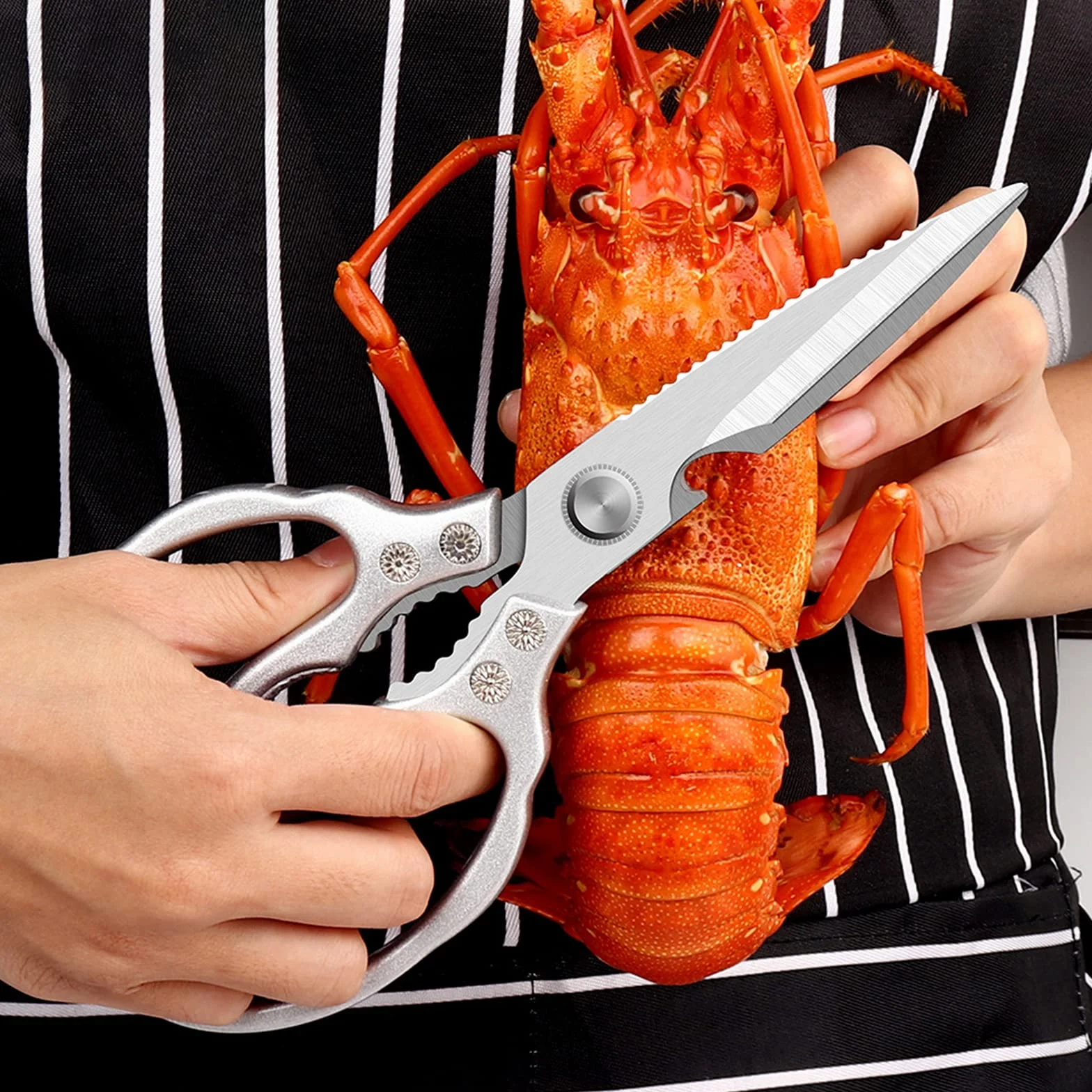 Forbici da Cucina Resistenti,5 in 1 Trinciapollo Multifunzionali in Acciaio Inox,25cm Impugnatura Ergonomica e lame in titanio,per Casa Uso,Osso di Pollo,Carne,Verdura,Pollame,Pesce,Erbe,Noci,Argento