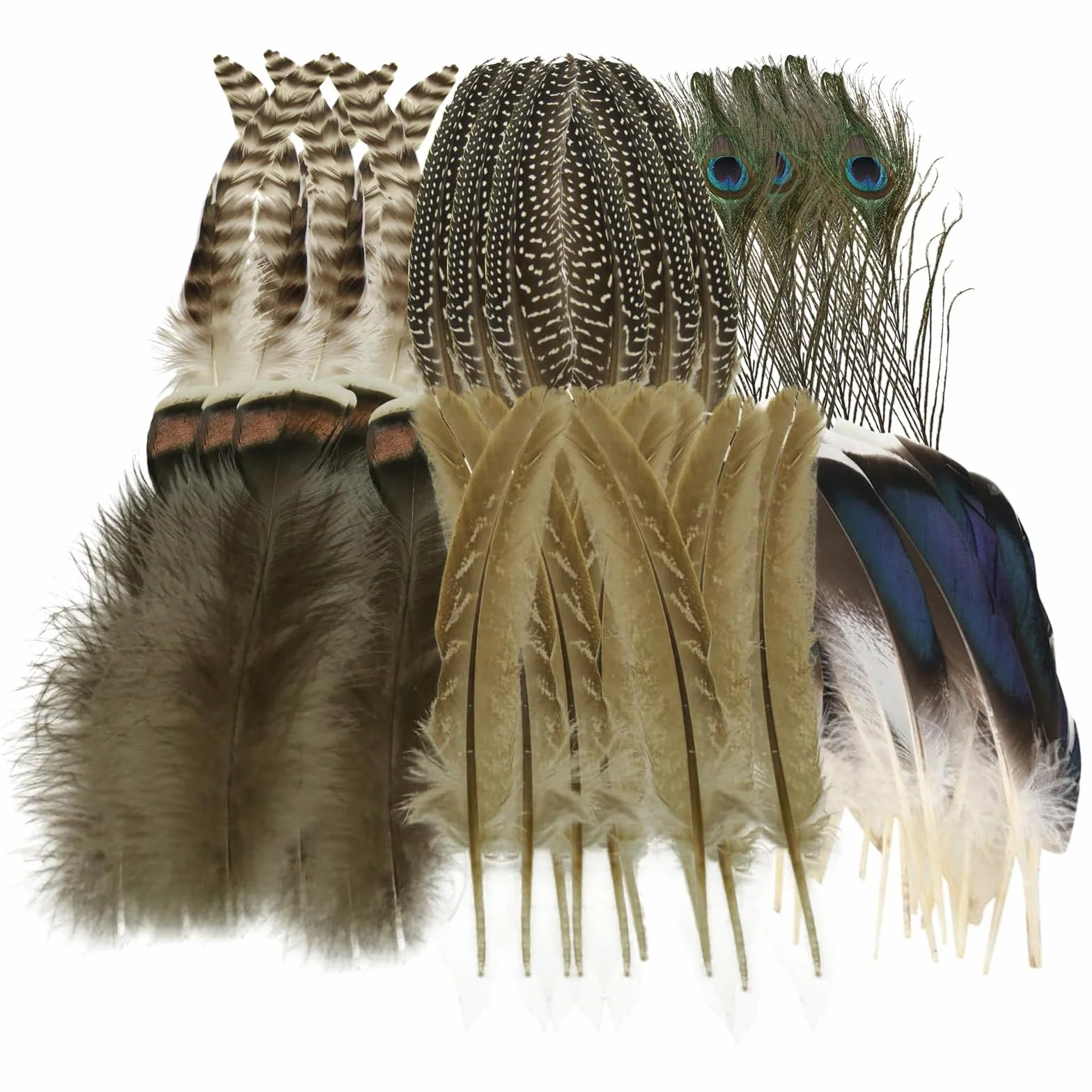 Piume Decorative Naturali 48 Pezzi per Pavone Matrimoni Uova Pasqua Gioielli Fai da Te Cappelli