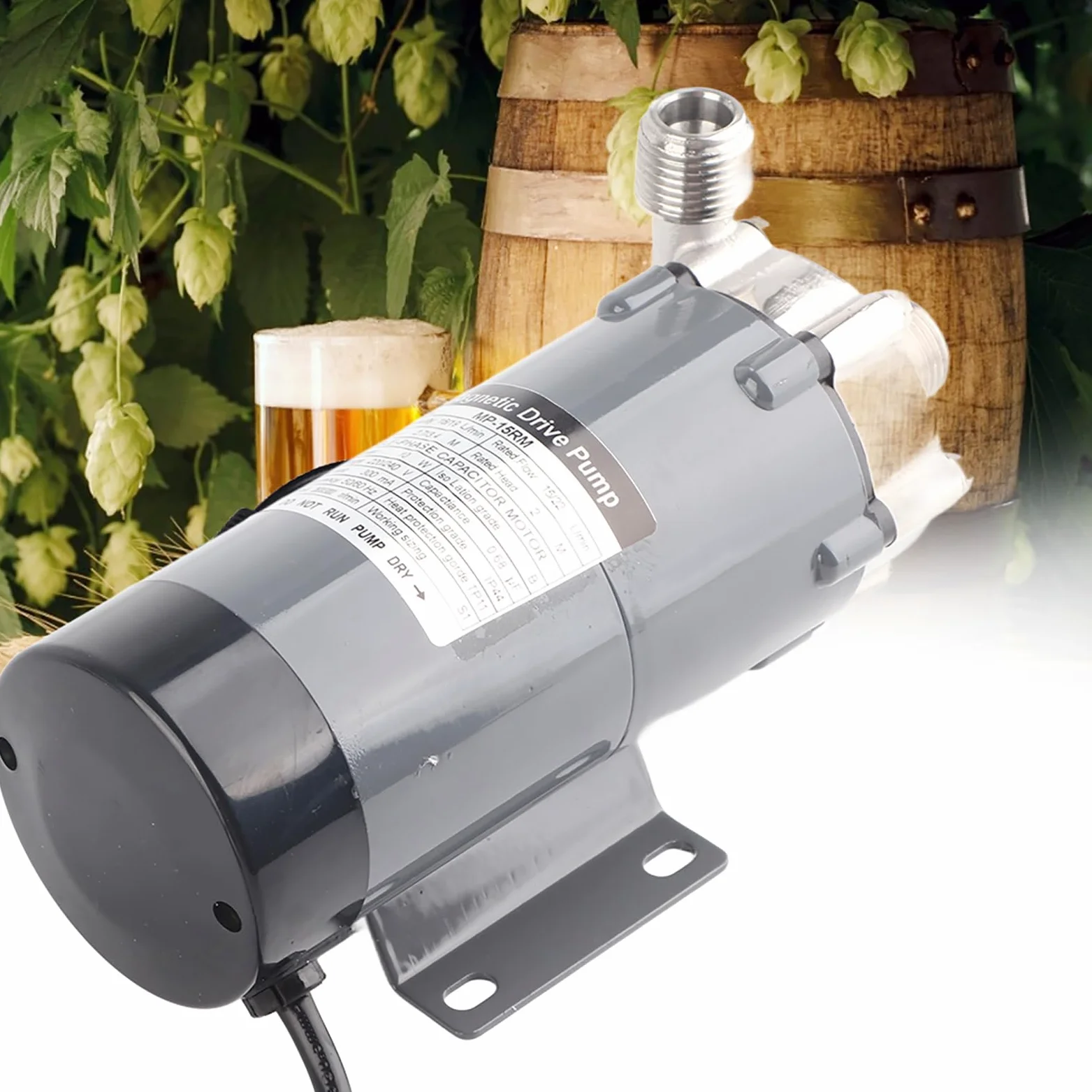 MAGT Birra Pompa Brewing Pompa Magnetica, DC 12V 18W 16-19 L/min in Acciaio Inossidabile per Homebrew (EU 220V)
