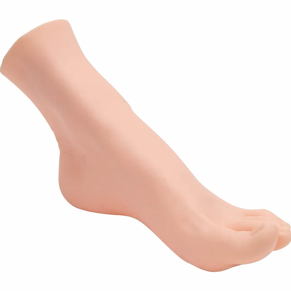 Piedi realistici in PVC per manichino maschile modello piede scala naturale insegnamento disegno pittura oreficeria destro uomo 24,5 cm