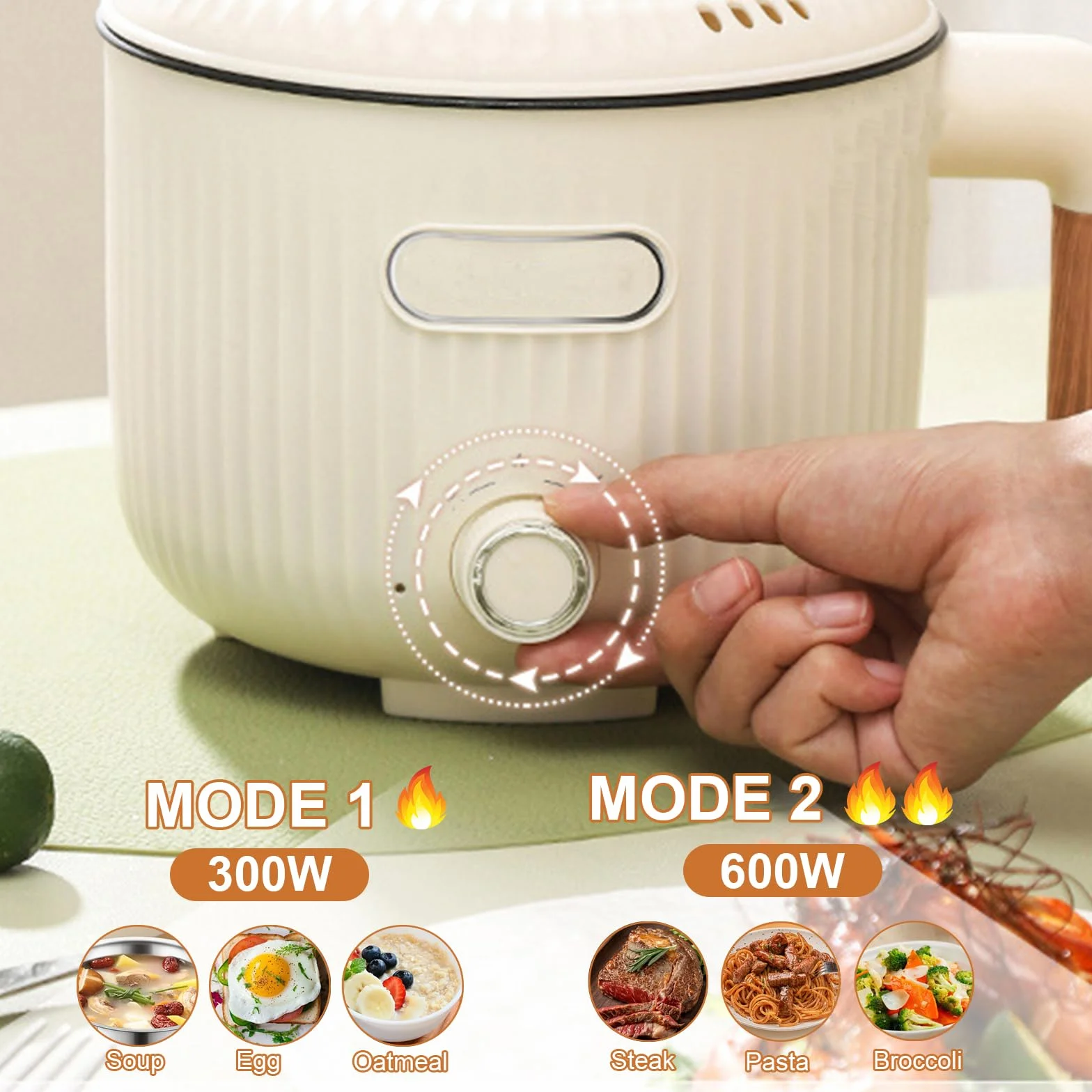 Elettrico Hot Pot Portatile Antiaderente Multicooker con Cestello a Vapore, Acciaio Inox, Doppio Controllo Potenza