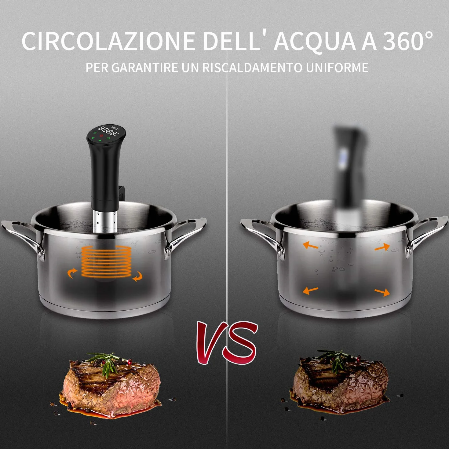 Sous Vide Roner Cucina Professionale Circolatore Termico a Immersione Inox con Ricettario e Custodia