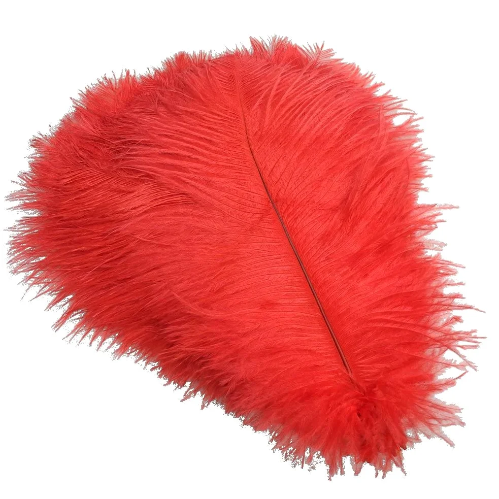 Decoro di piume di struzzo rosso 15-70 cm / 6-28quot; Grandi piume di struzzo per l'artigianato Top di carnevale con accessori da sposa per le vacanze Decorazione-65-70 cm Grande palo, 10 pezzi