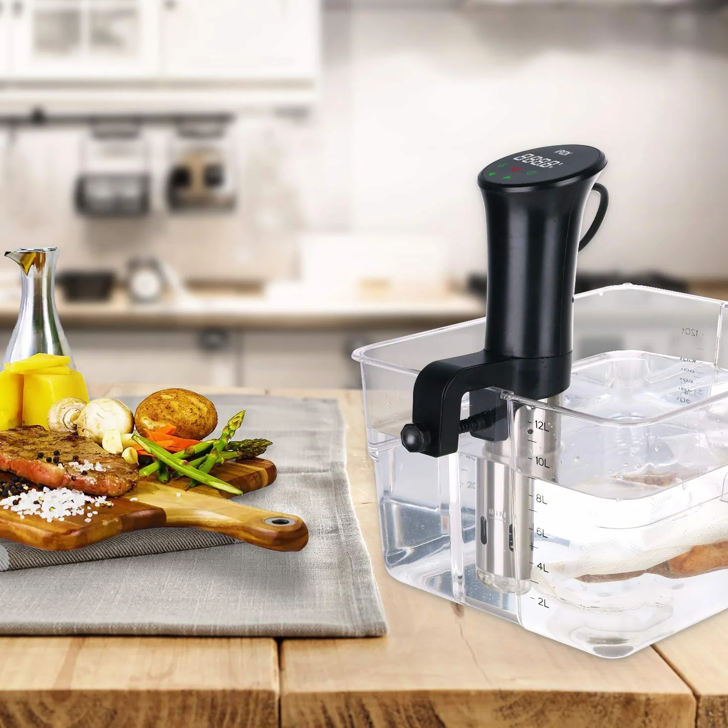 Sous Vide Roner Cucina Professionale Circolatore Termico a Immersione Inox con Ricettario e Custodia