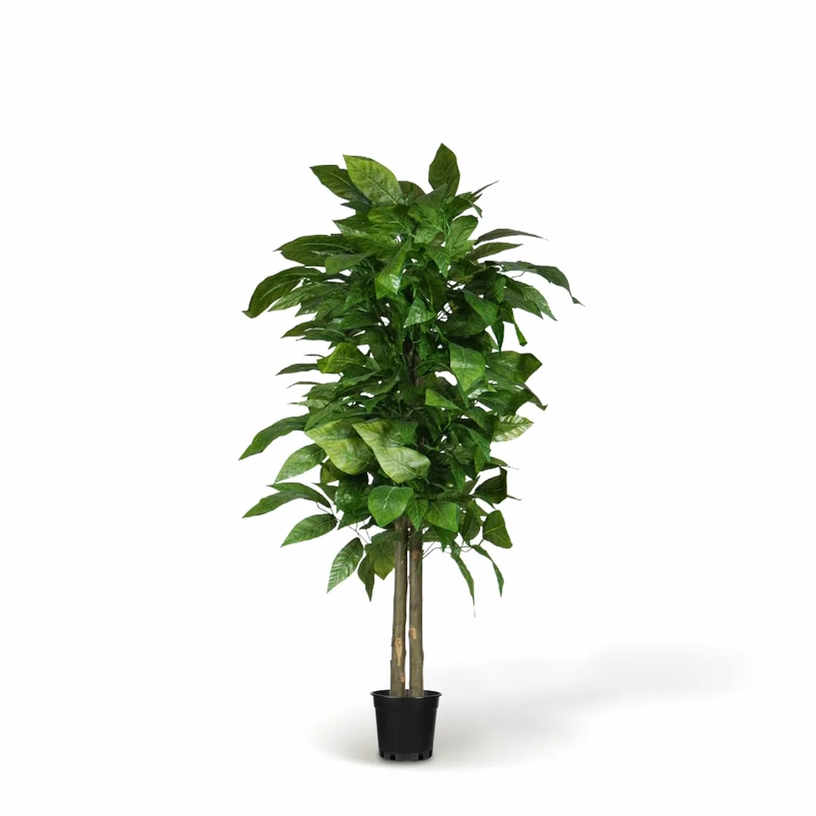 BLAINE Piante Finte da Interno Albero di Mango 150 cm Aspetto Iperrealistico per Decorazione Casa e Ufficio Senza Manutenzione