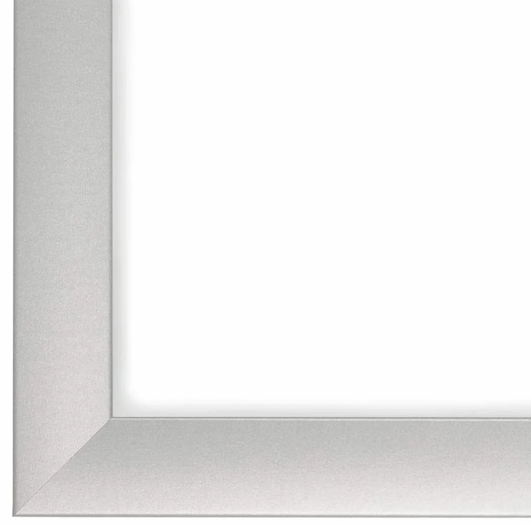 FRAMO Cornice per immagini 35mm 68 x 110 cm Argento Opaco MDF vetro antiriflesso