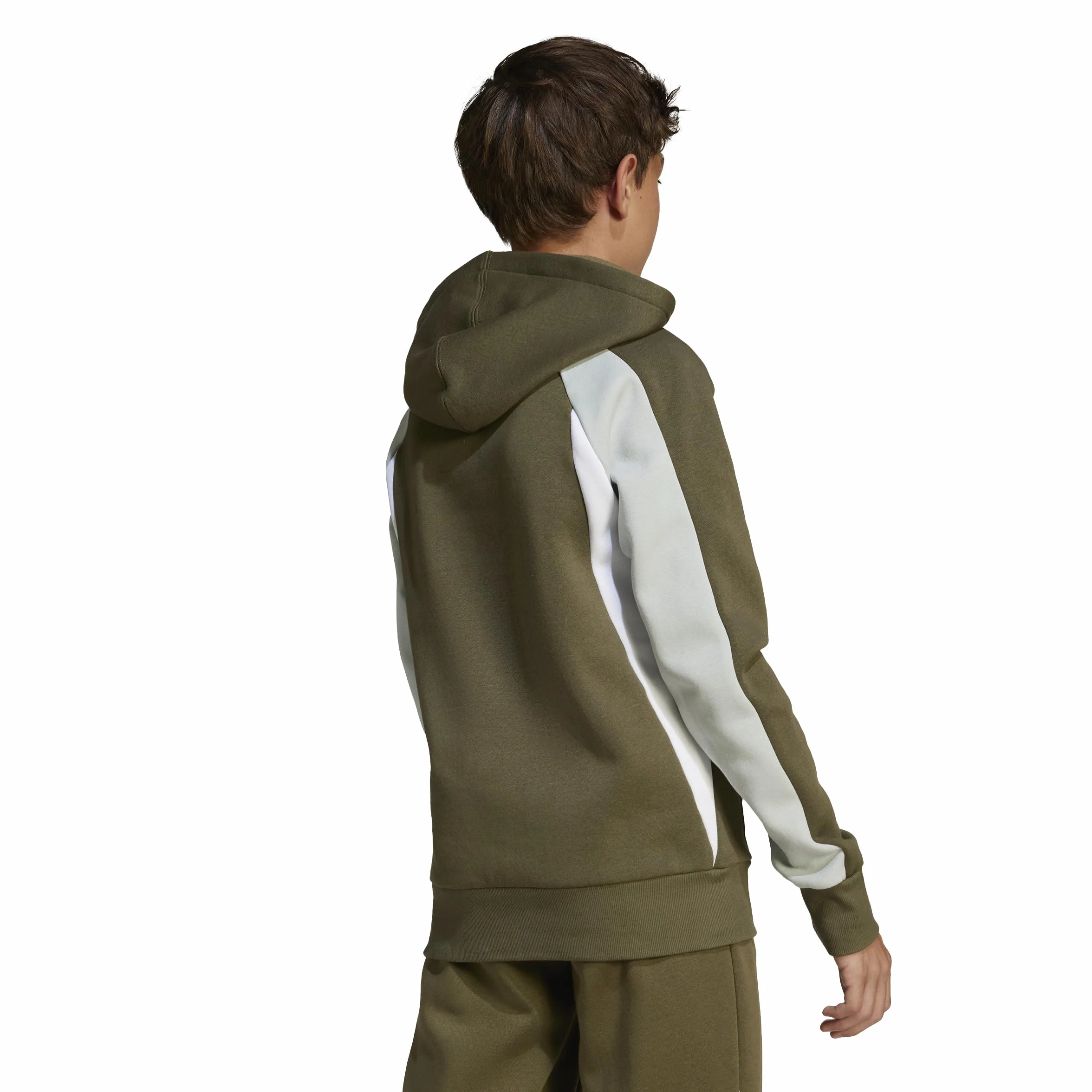 adidas Seasonal Essentials Colorblock Fleece Hoodie