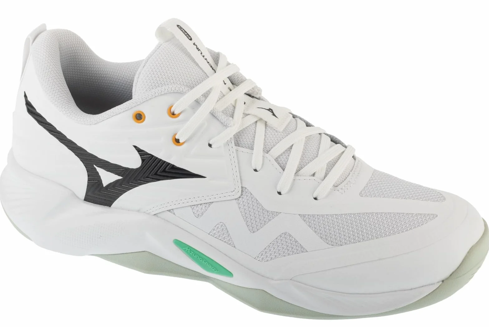 Mizuno Scarpe da pallavolo Uomo