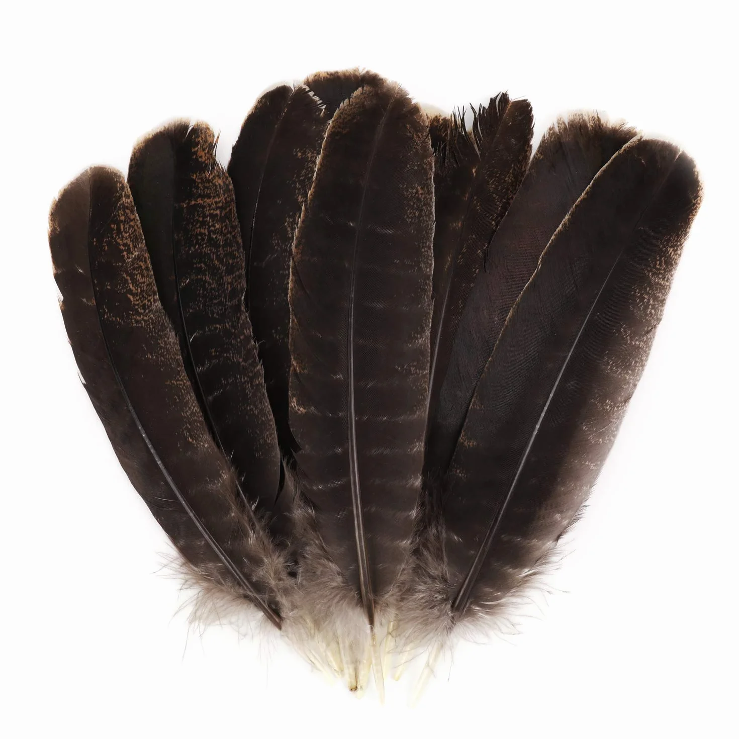 Piume di Fagiano Naturali 20-30cm Morbide per Artigianato Carnevale Decorazione 10 Pezzi