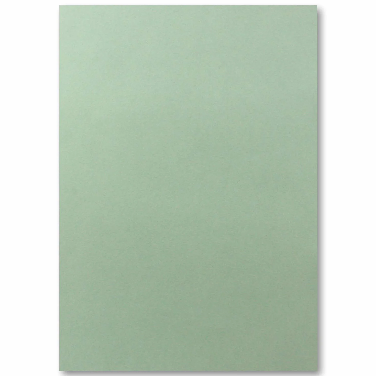 FarbenFroh Carta DIN A4 240 g/m² 21 x 29,7 cm Verde Eucalipto Fogli per Bricolage