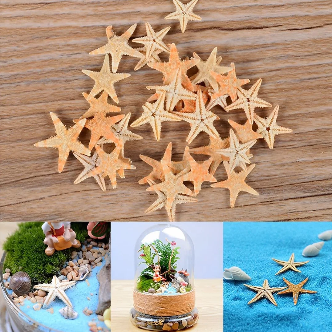 JEYORZY 50 Pezzi Stelle Marine Marine Elementi Decorazione Fotografia Oggetti di Scena Decorazioni Casa Materiali Artigianali Fai da Te Ornamenti Paesaggistici 1-2CM